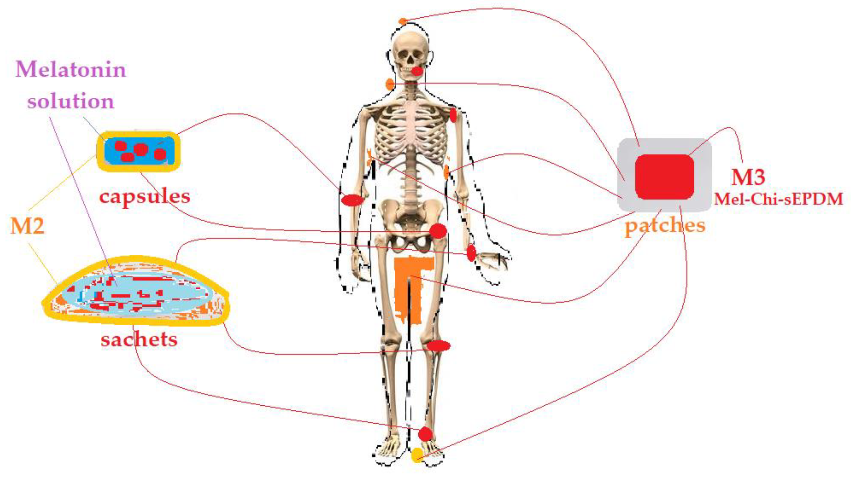 Membranes 13 00282 g018