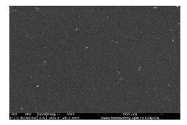 Membranes 13 00282 i005