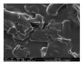 Membranes 13 00282 i009