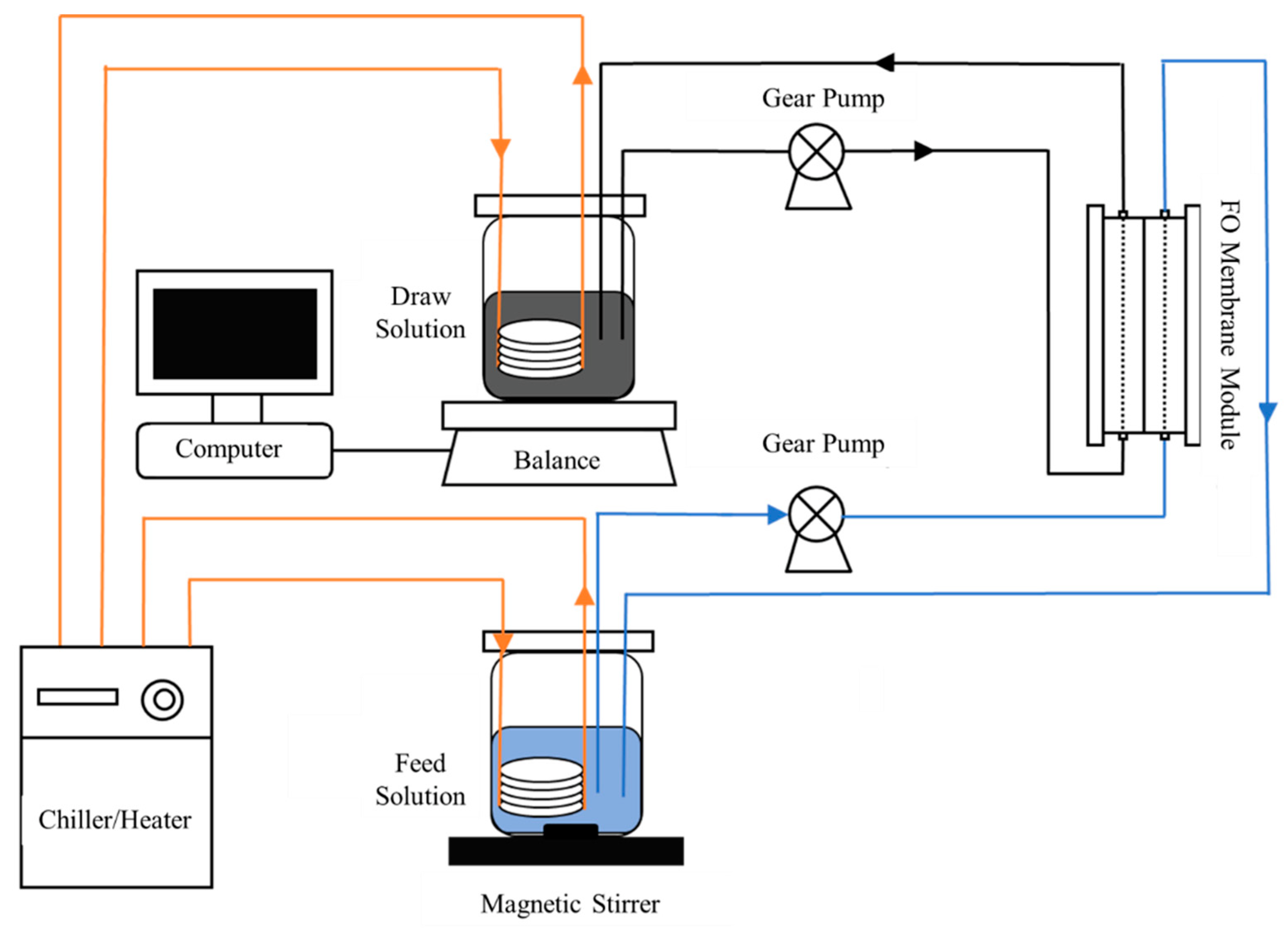 Membranes 13 00288 g001