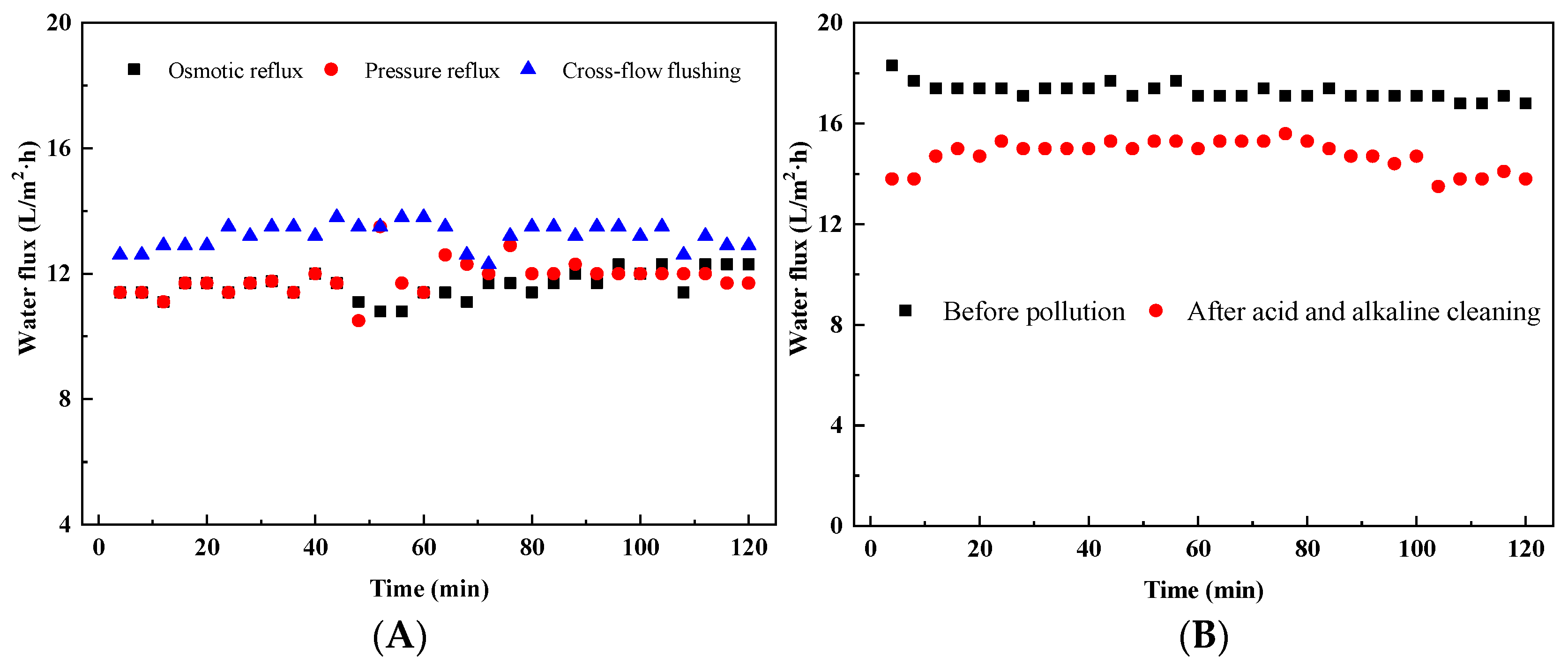 Membranes 13 00288 g006