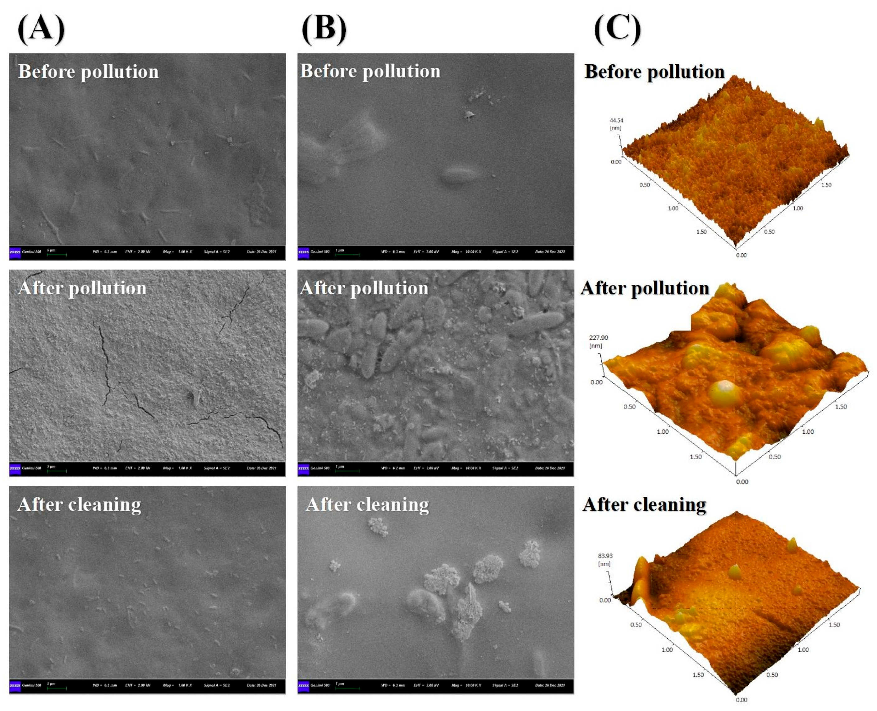 Membranes 13 00288 g007