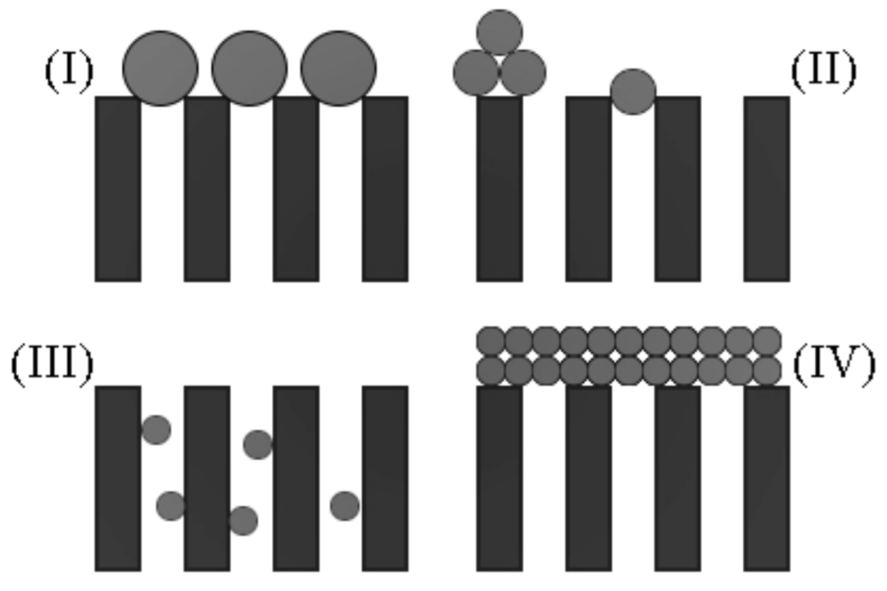 Membranes 13 00290 g001