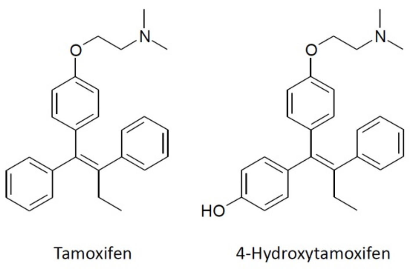 Membranes 13 00292 g001
