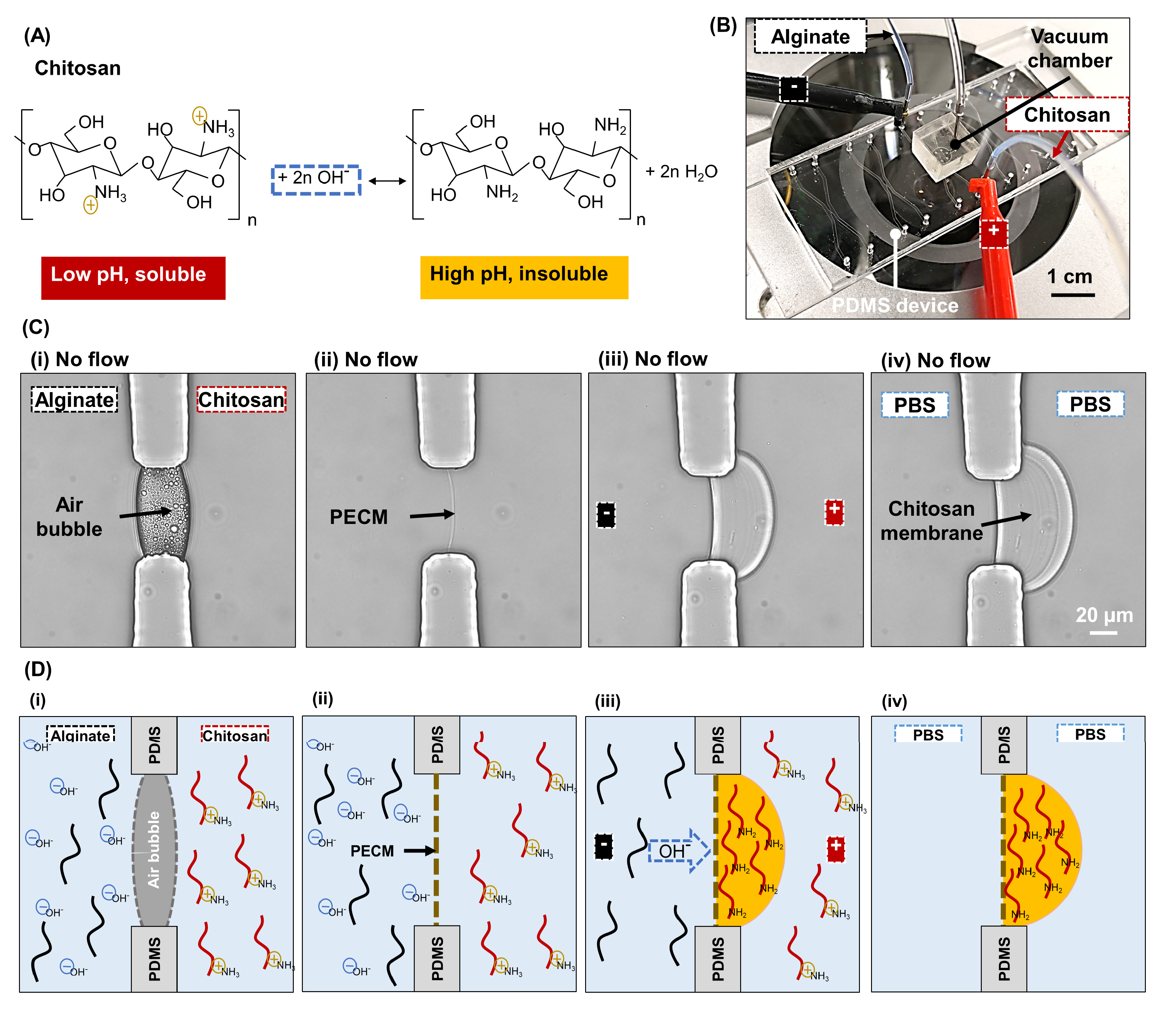 Membranes 13 00294 g001