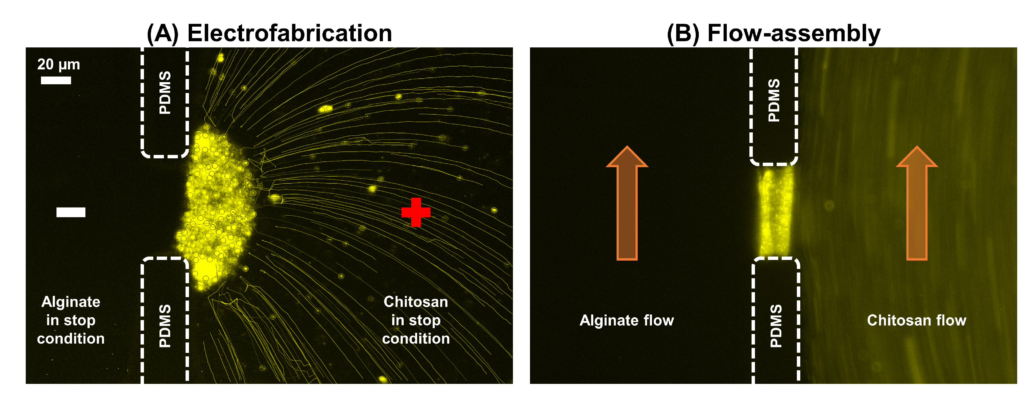 Membranes 13 00294 g007
