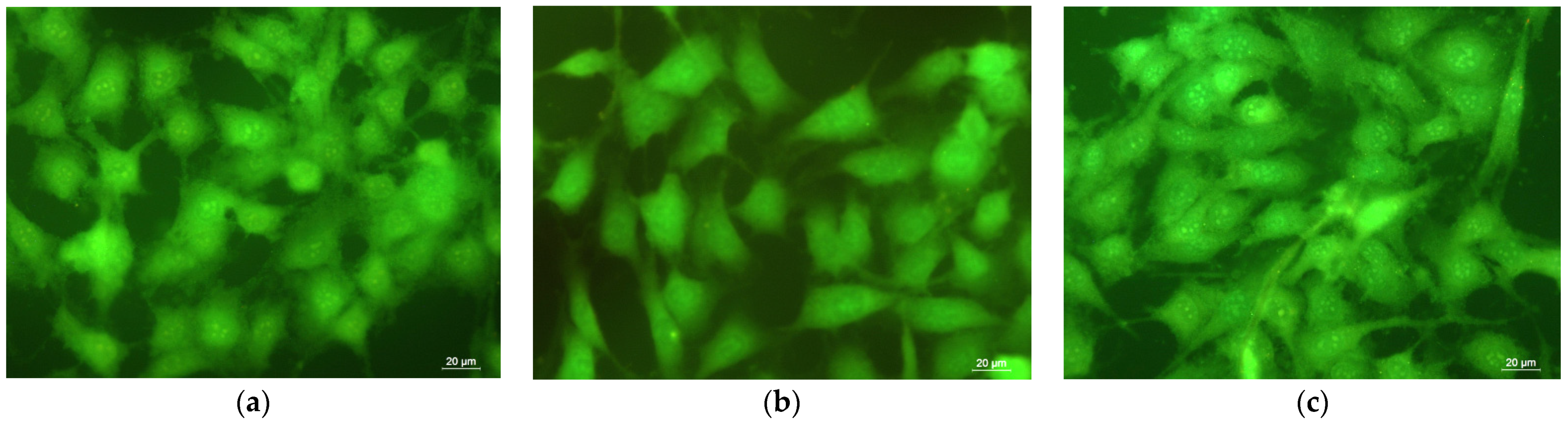 Membranes 13 00298 g007 Membranes 13 00298 g007