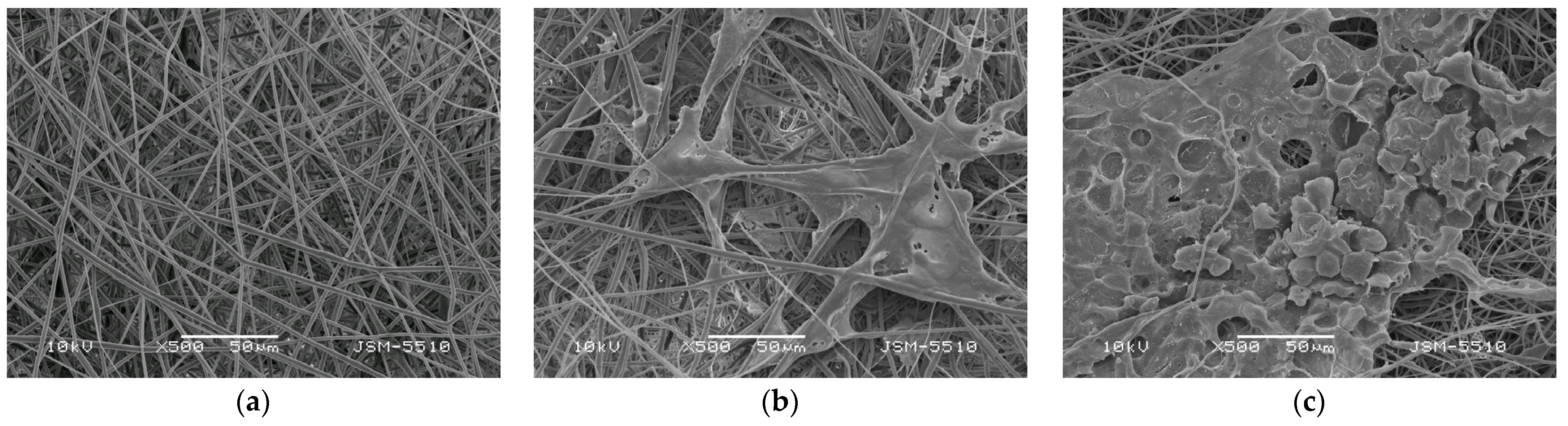 Membranes 13 00298 g008 Membranes 13 00298 g008