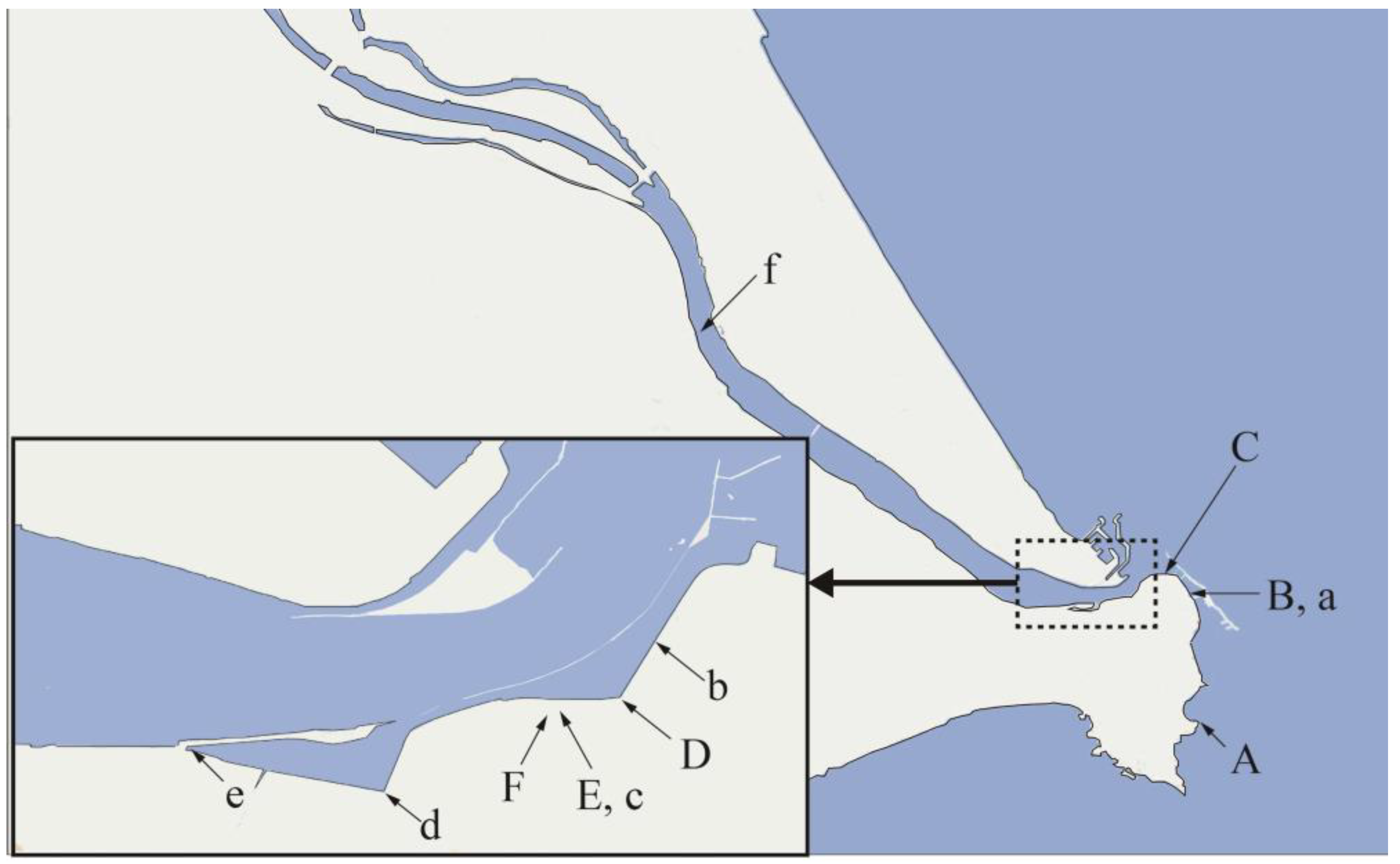 Membranes 13 00299 g001