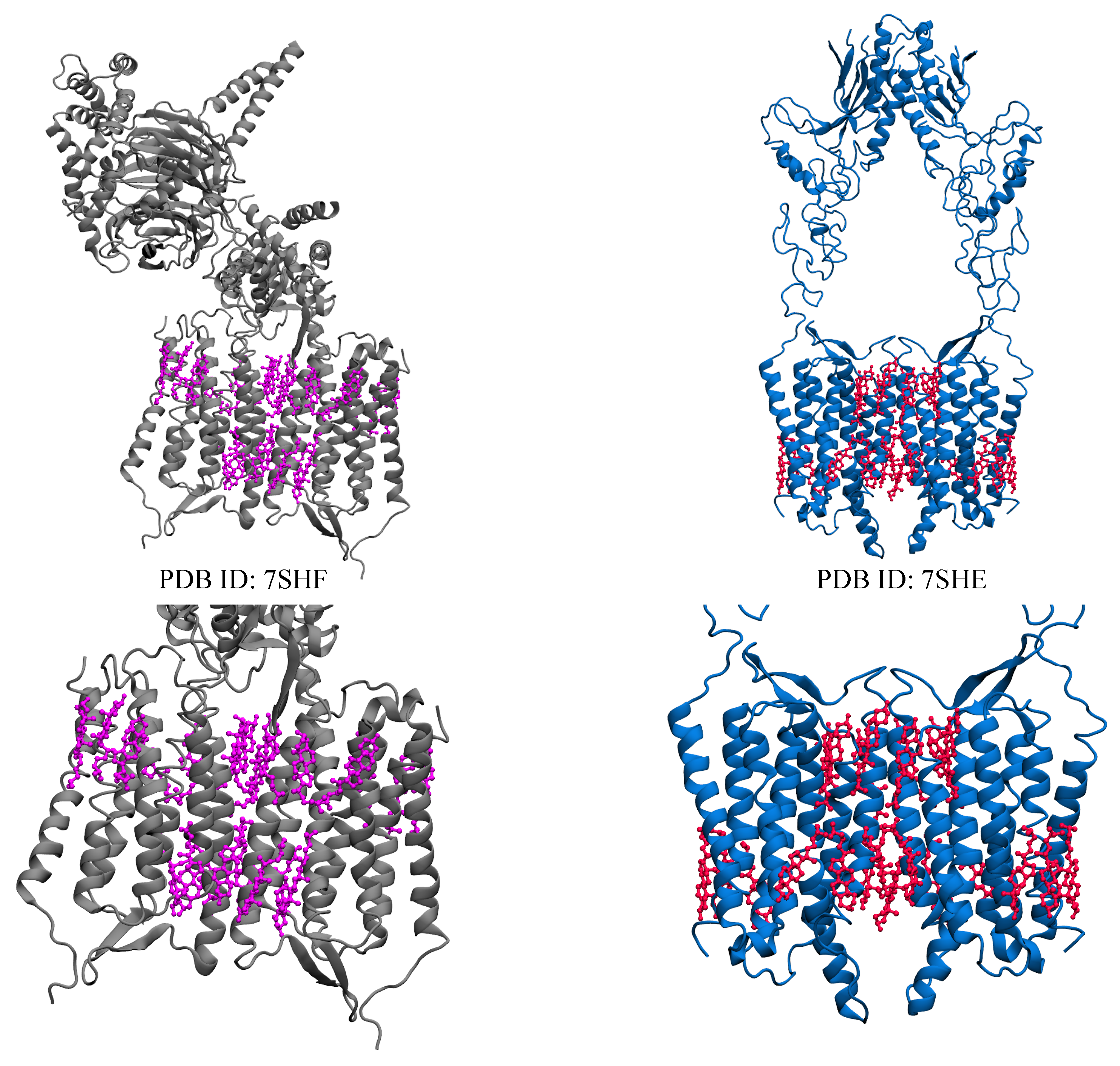 Membranes 13 00301 g004 Membranes 13 00301 g004