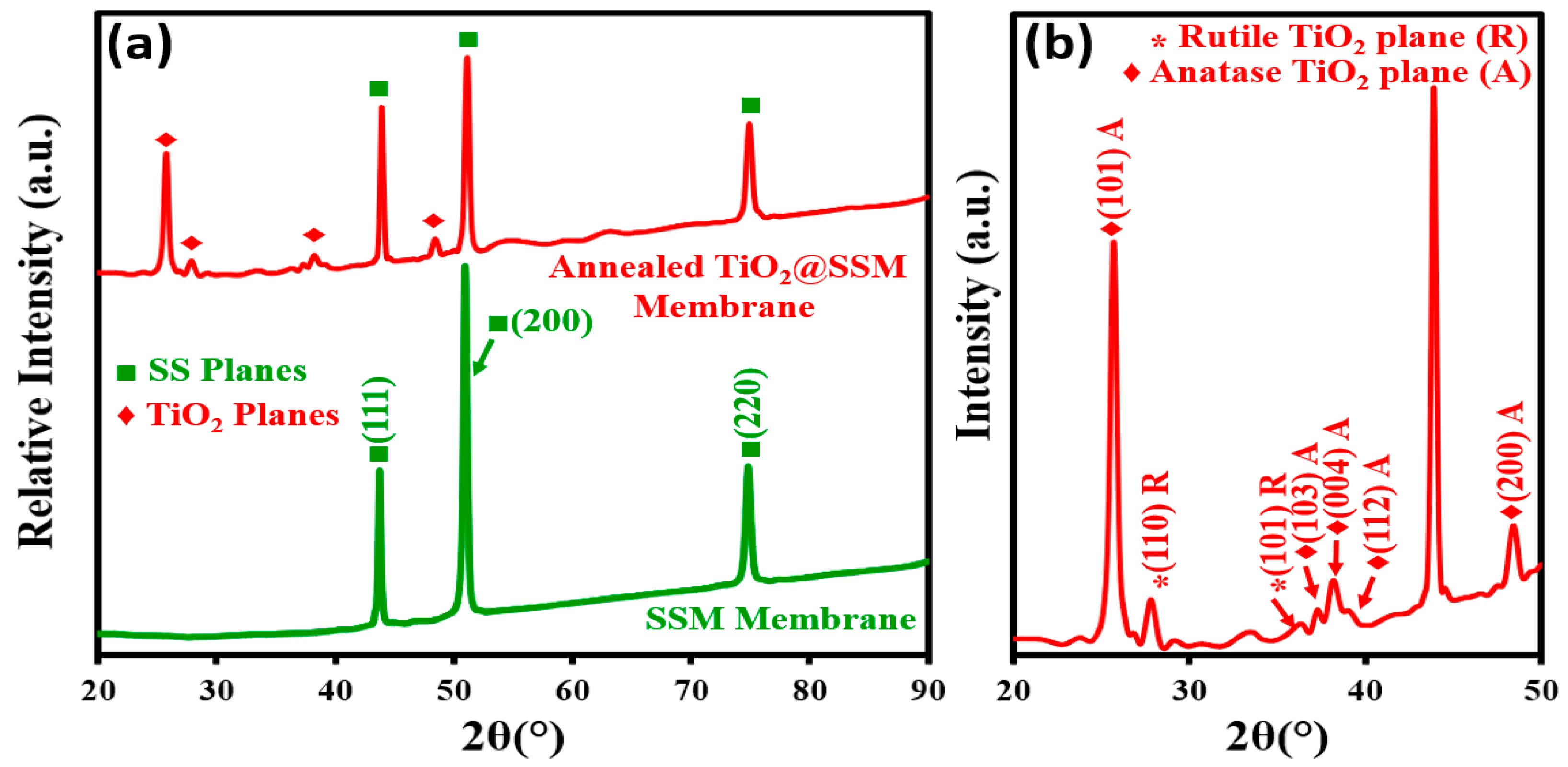 Membranes 13 00302 g002
