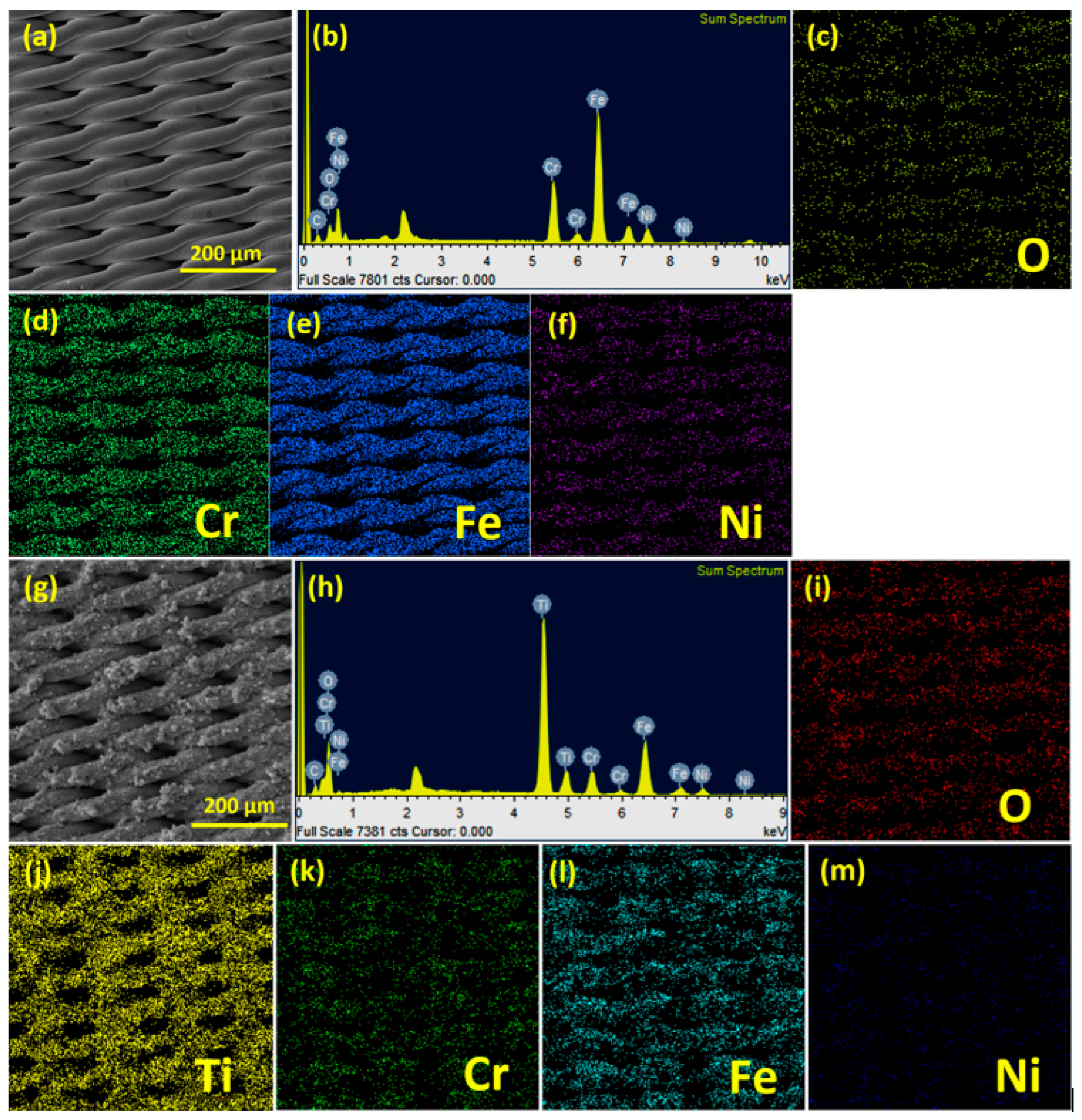 Membranes 13 00302 g004
