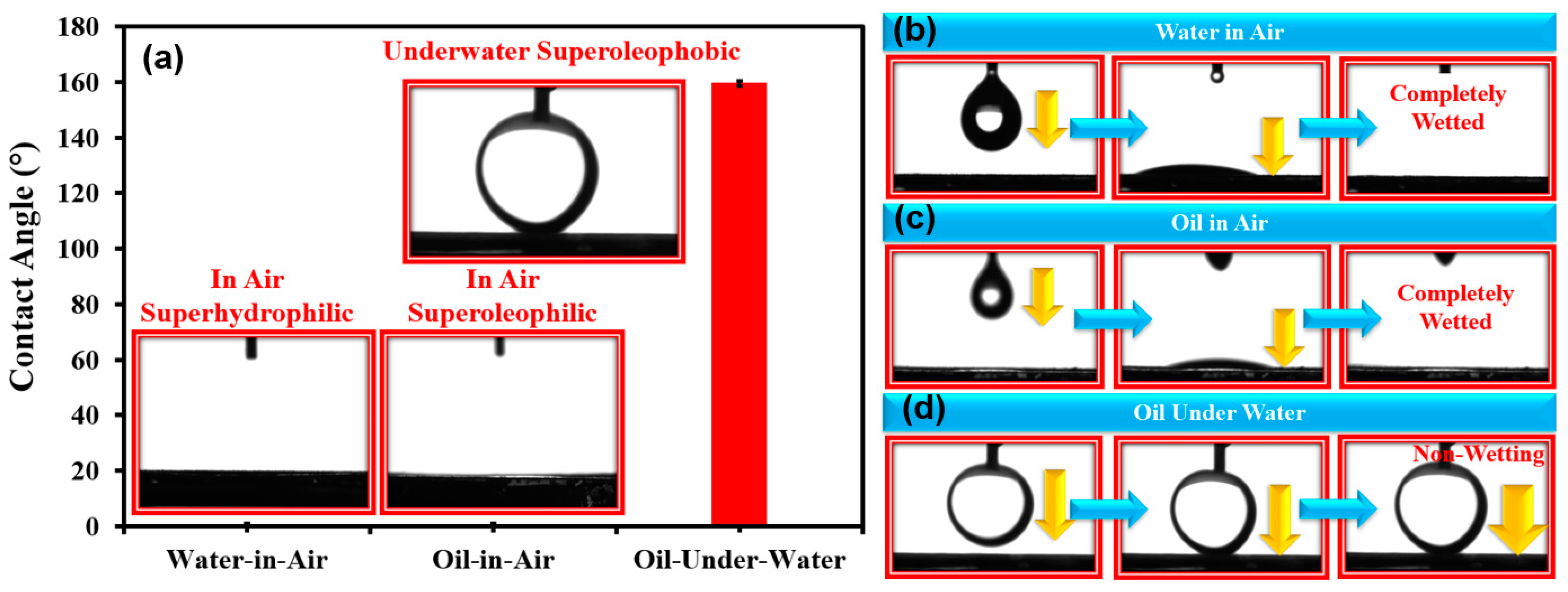 Membranes 13 00302 g005