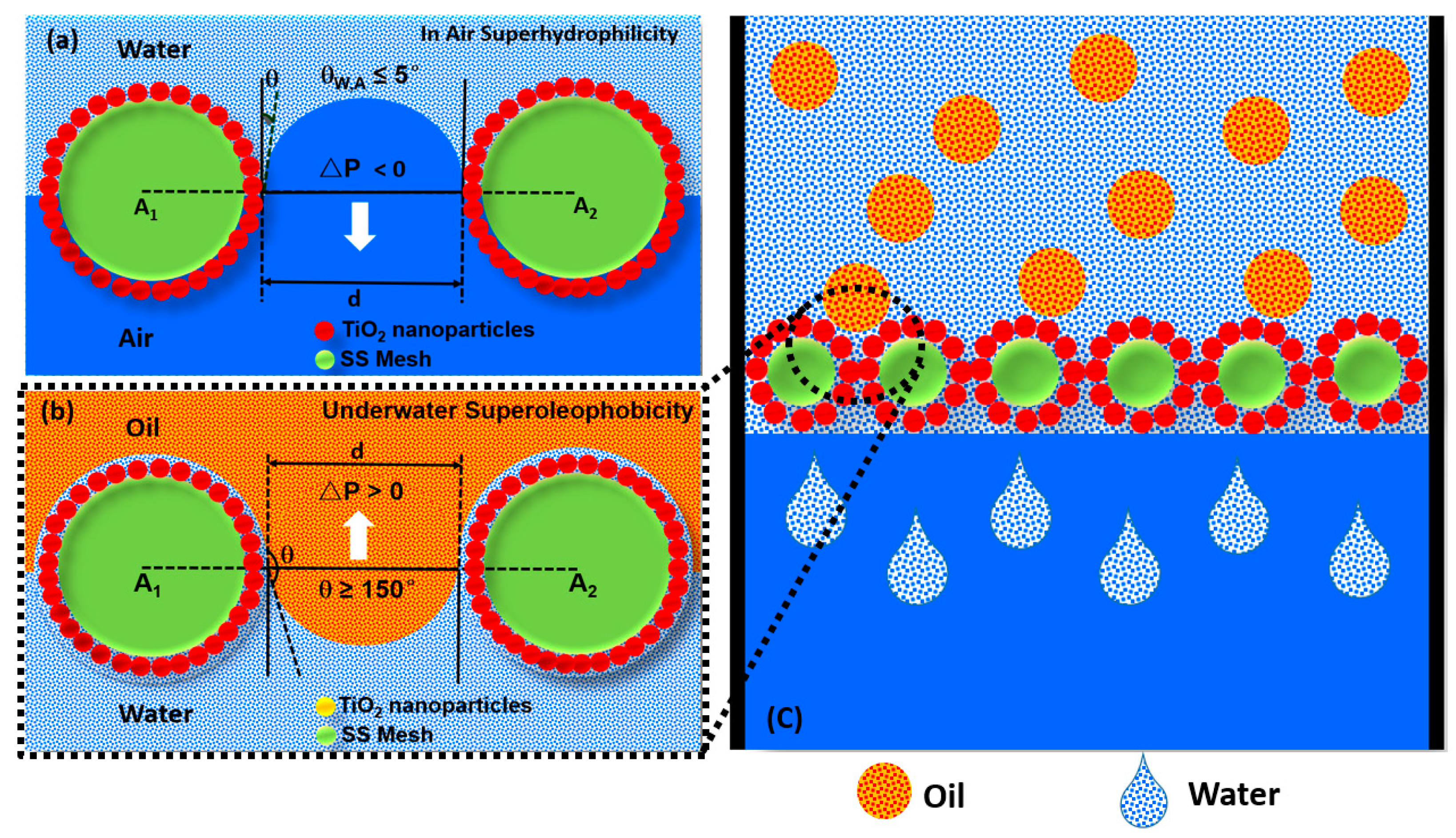 Membranes 13 00302 g008