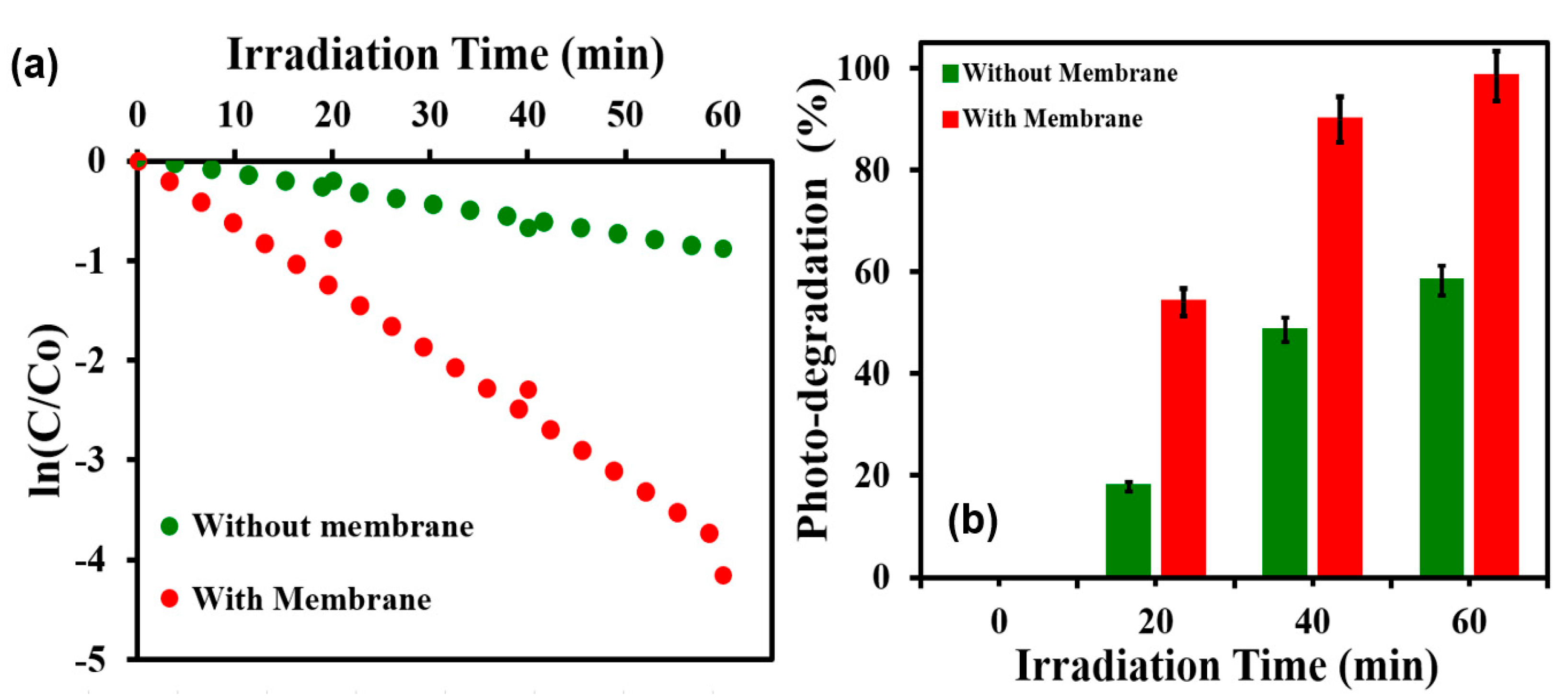 Membranes 13 00302 g010