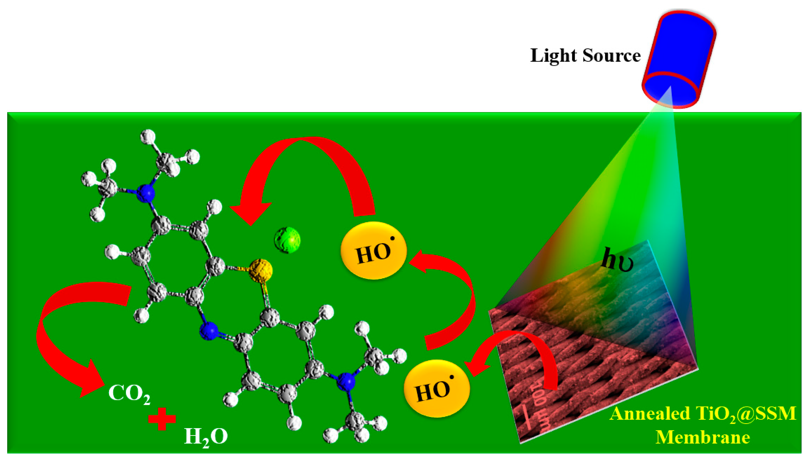 Membranes 13 00302 g011