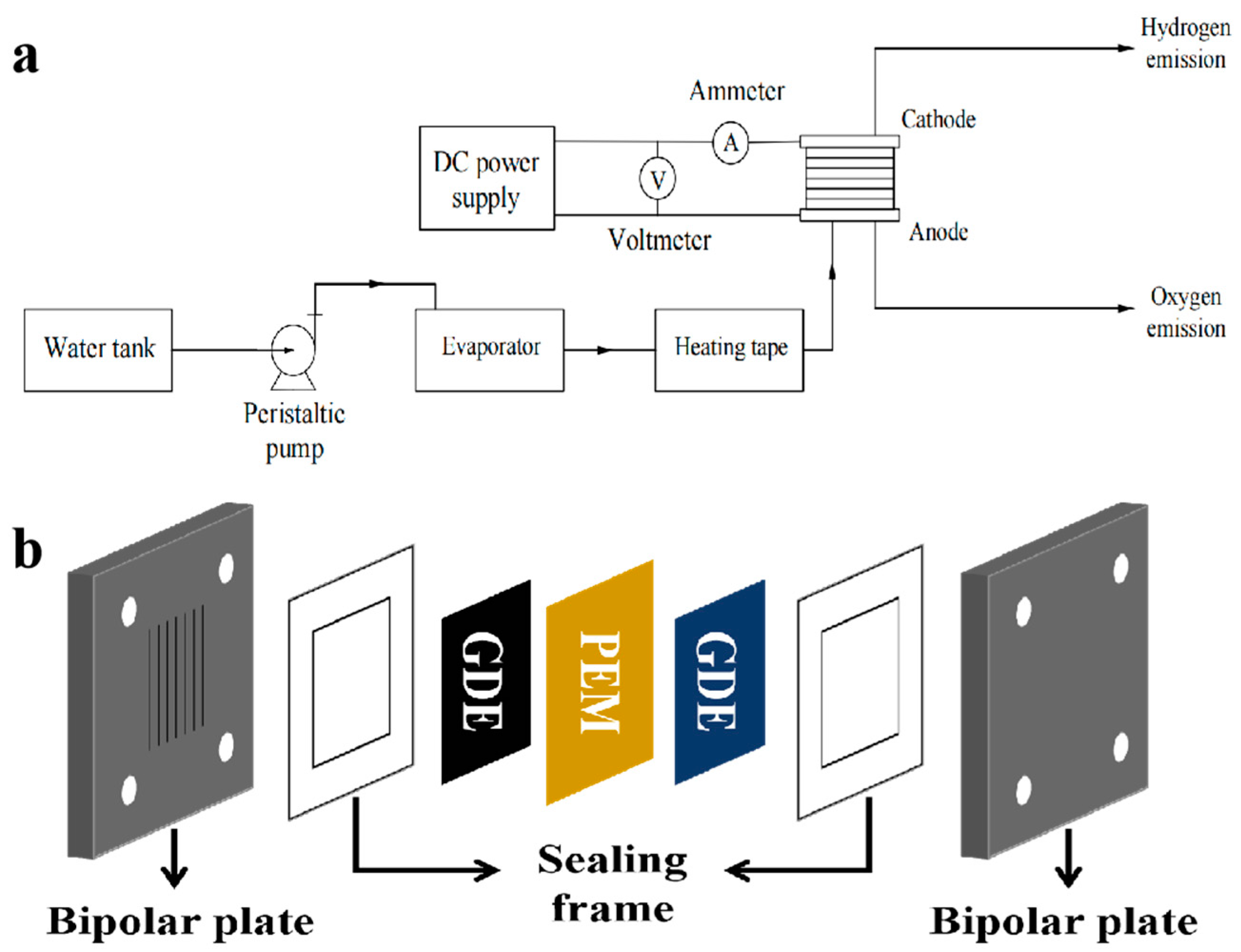 Membranes 13 00308 g002