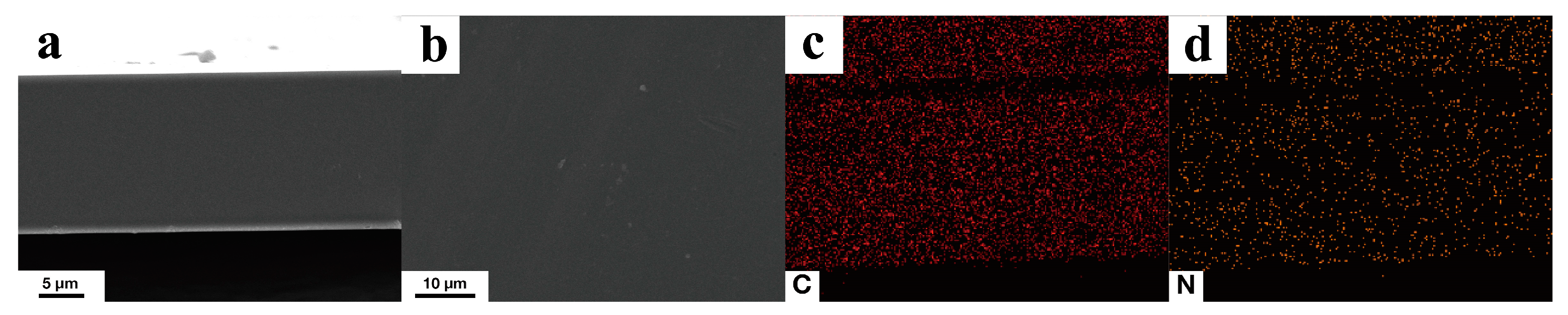 Membranes 13 00308 g005