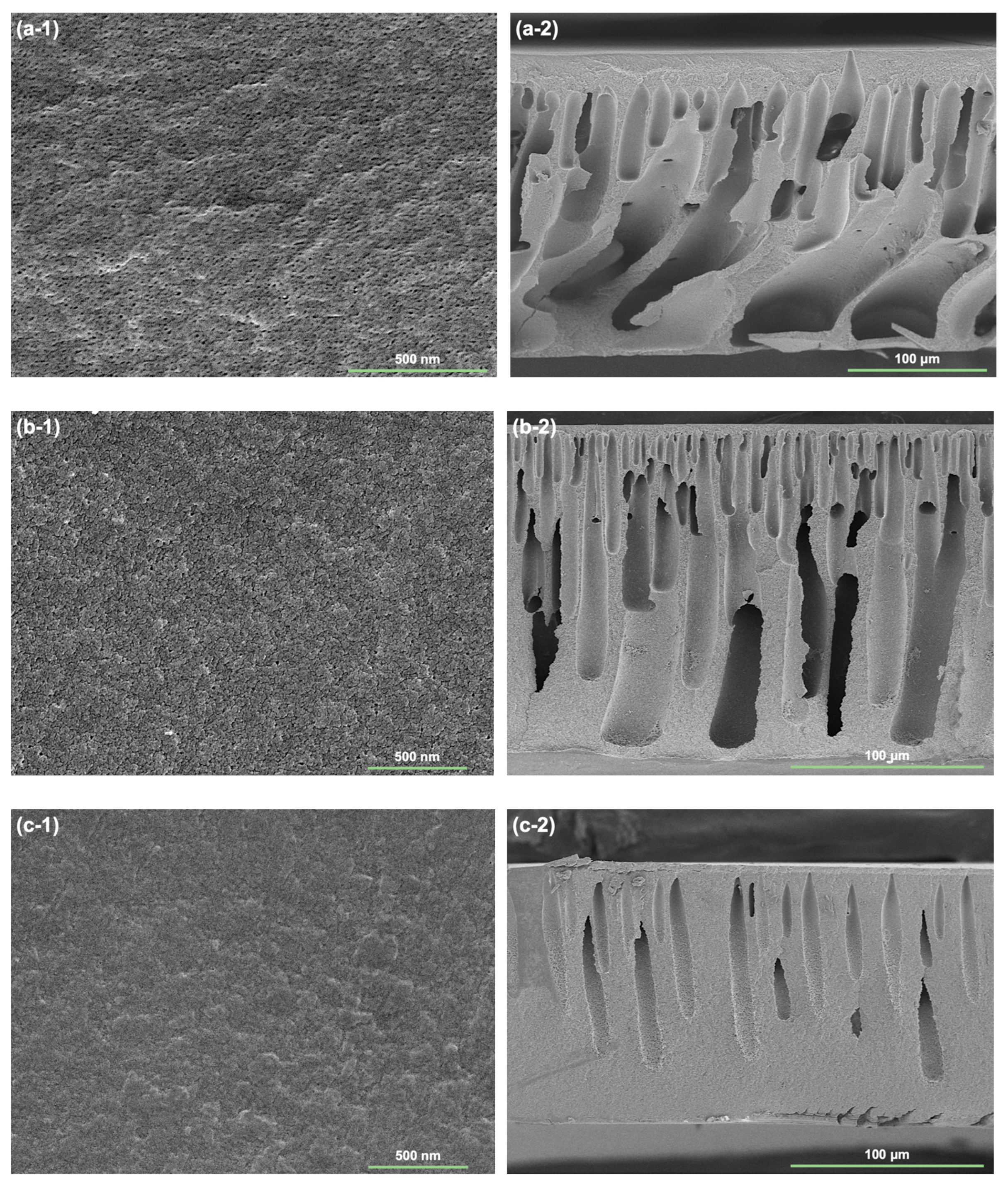 Membranes 13 00310 g008