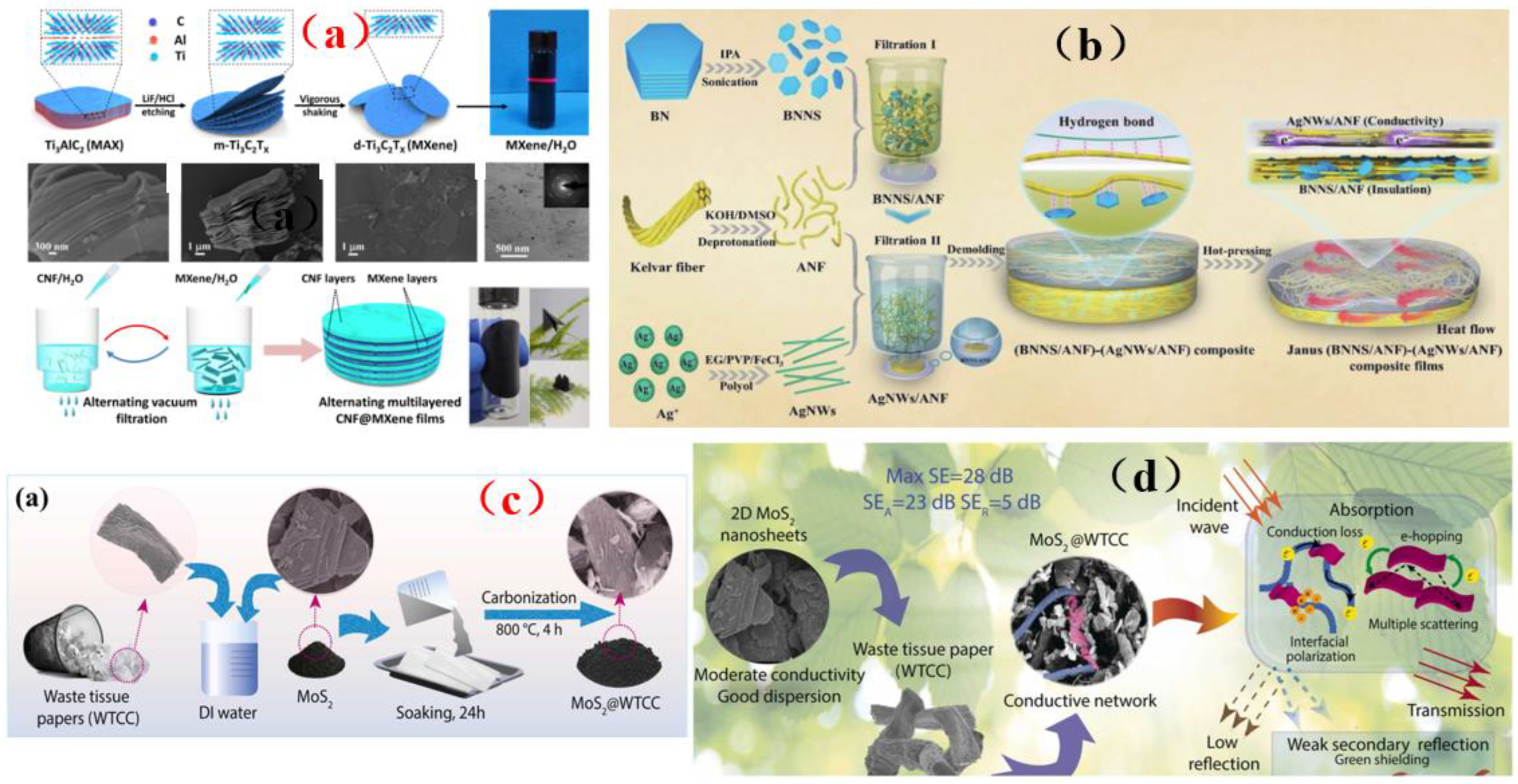 Membranes 13 00315 g022