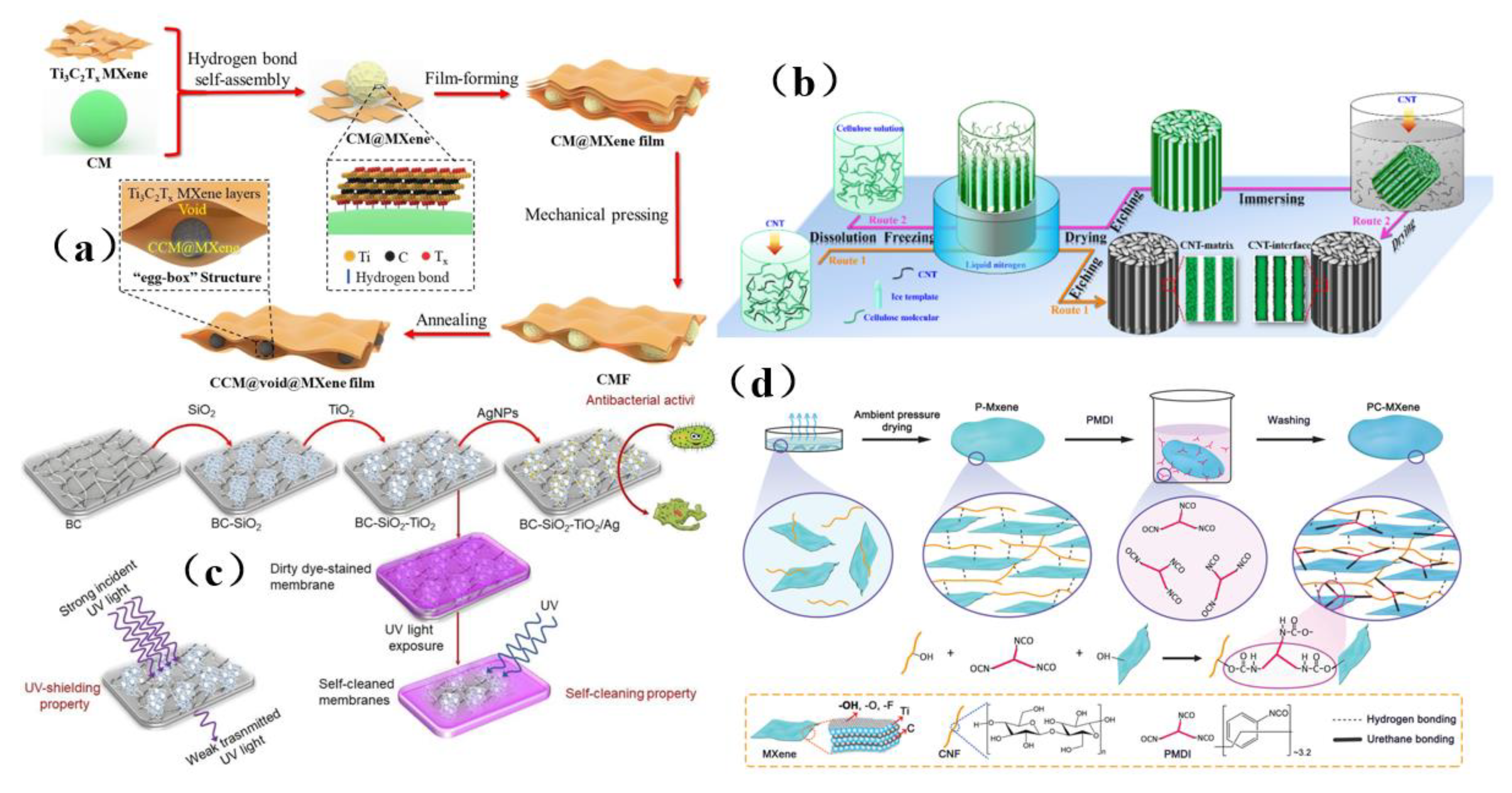 Membranes 13 00315 g023