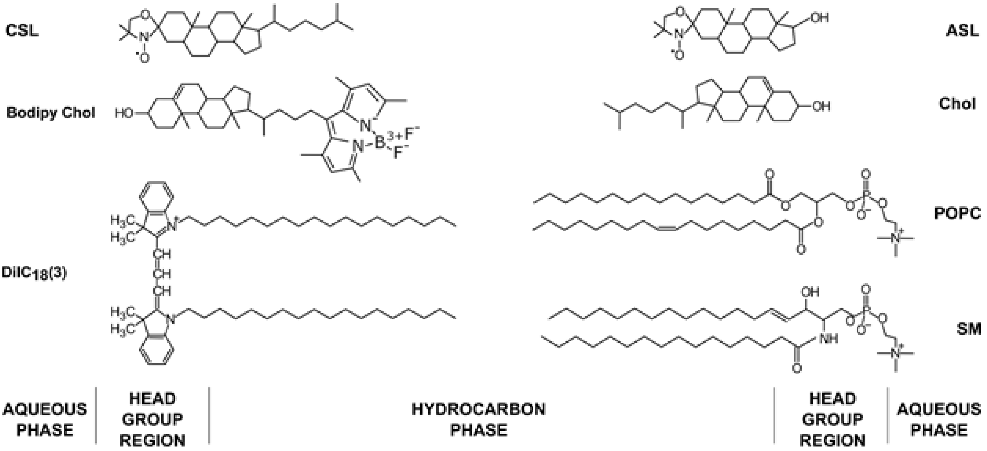 Membranes 13 00320 g001
