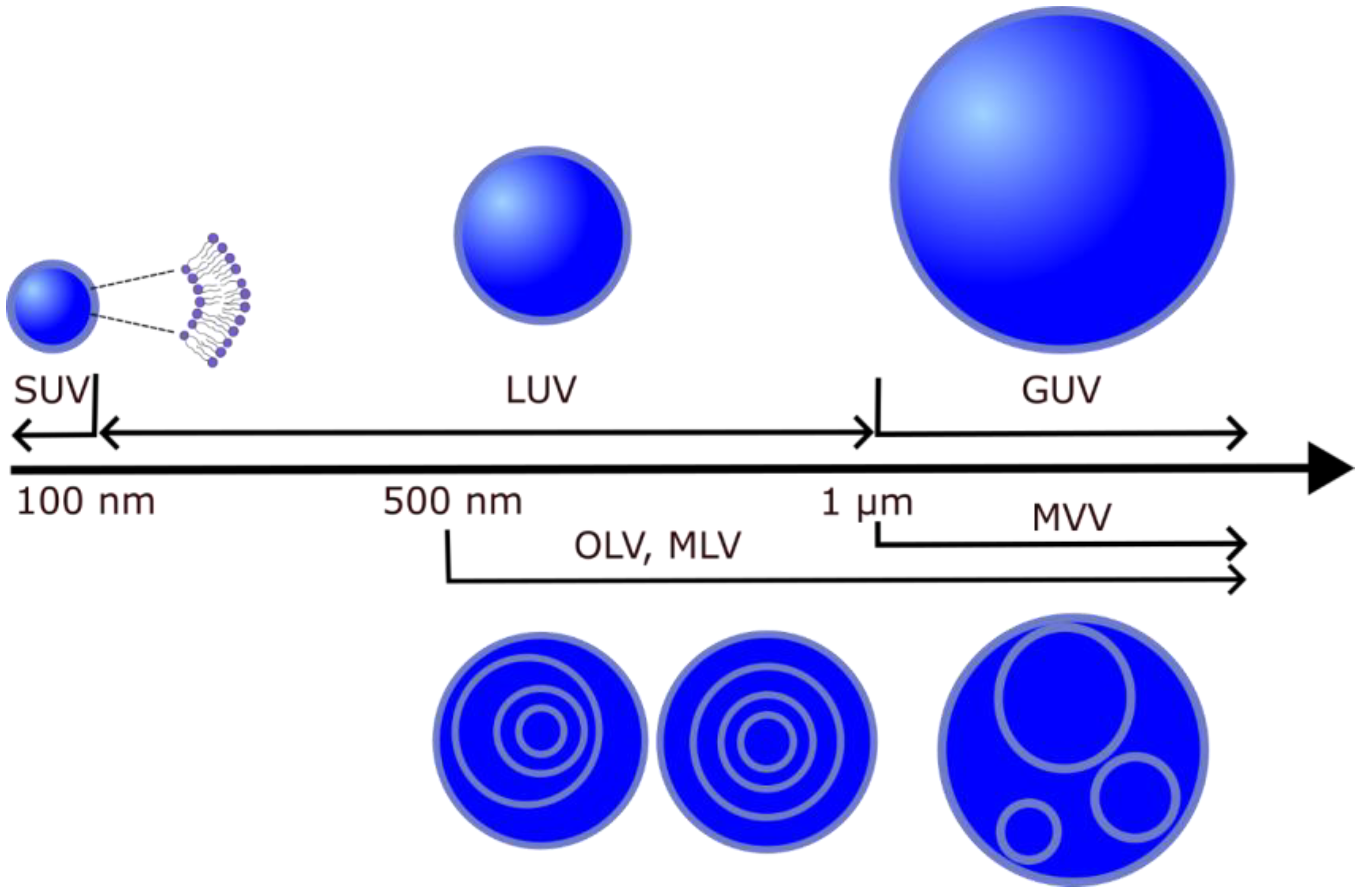 Membranes 13 00320 g003
