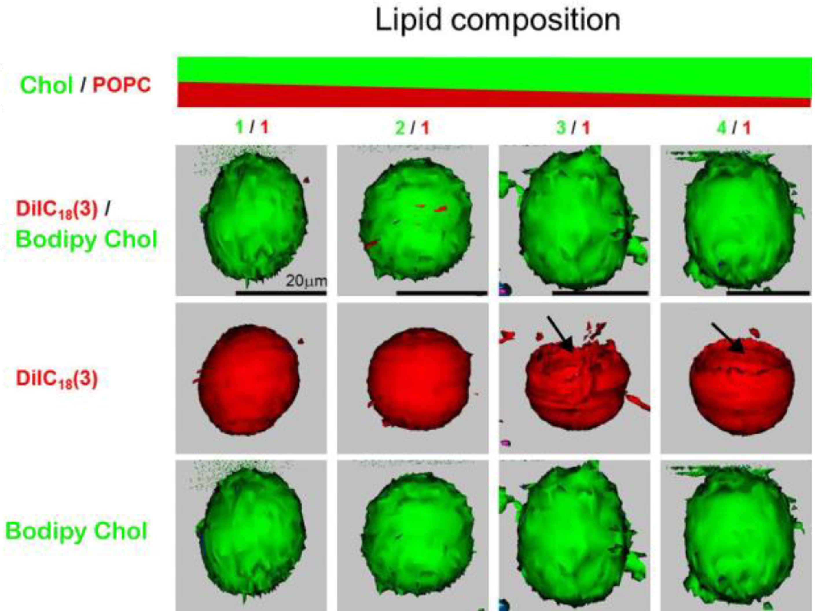 Membranes 13 00320 g006