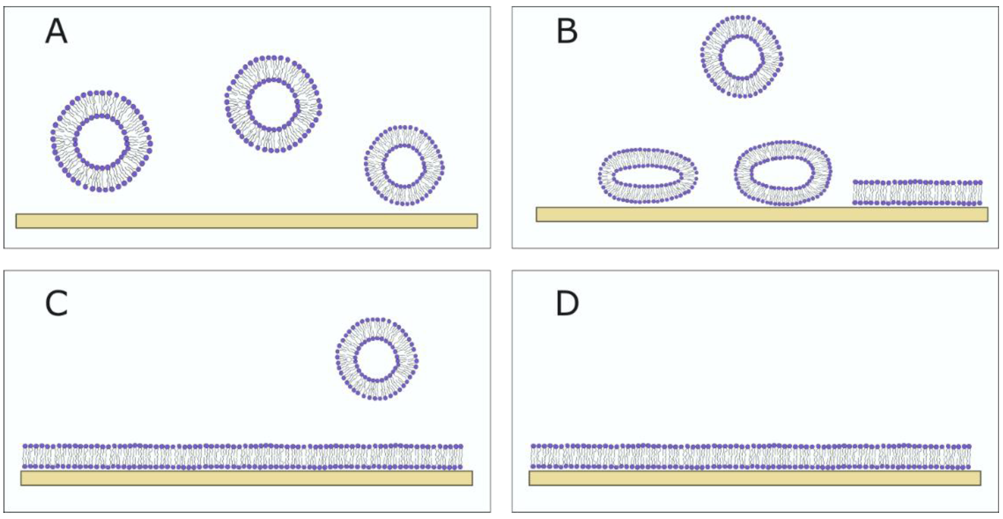 Membranes 13 00320 g007