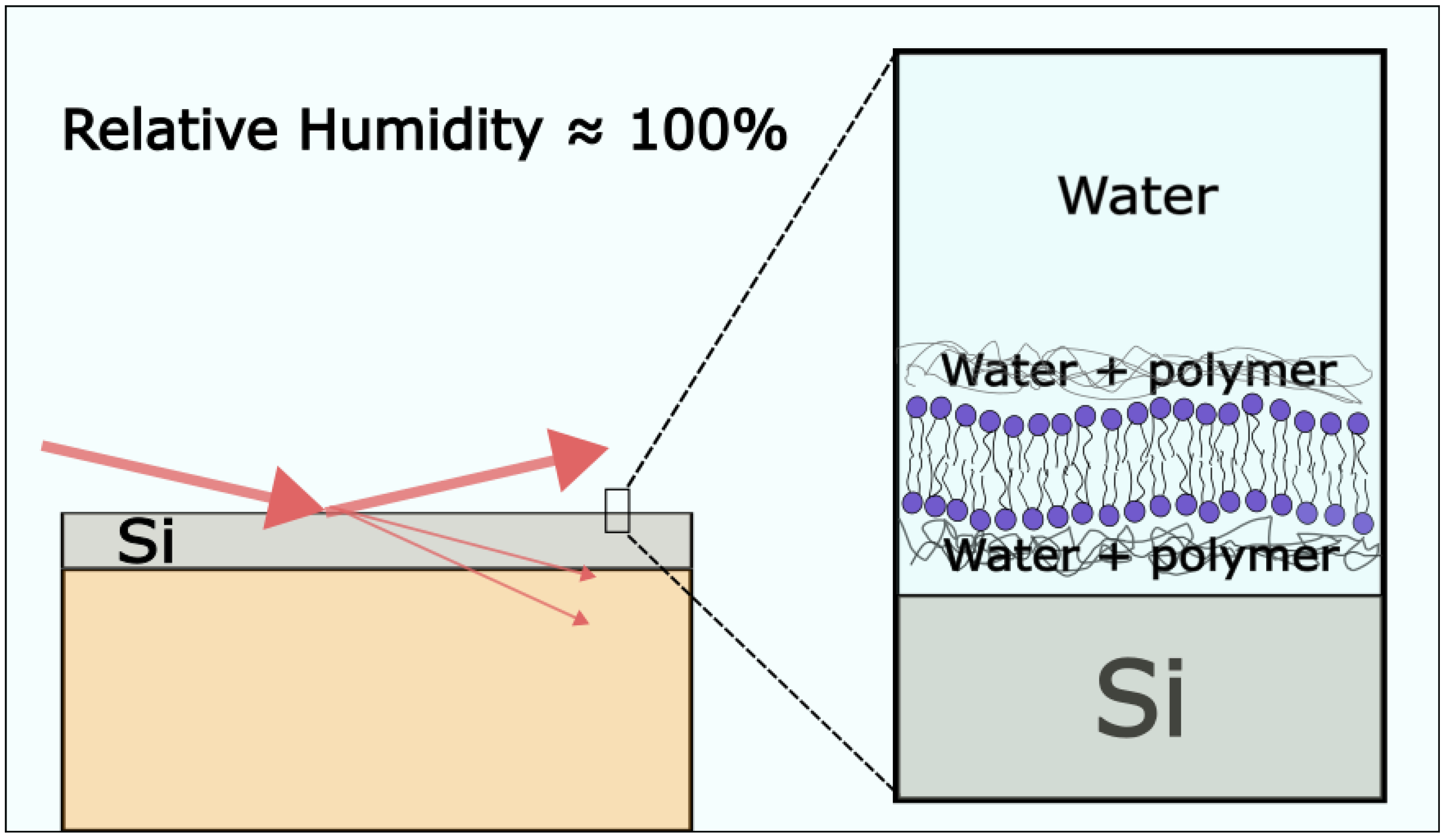 Membranes 13 00320 g009