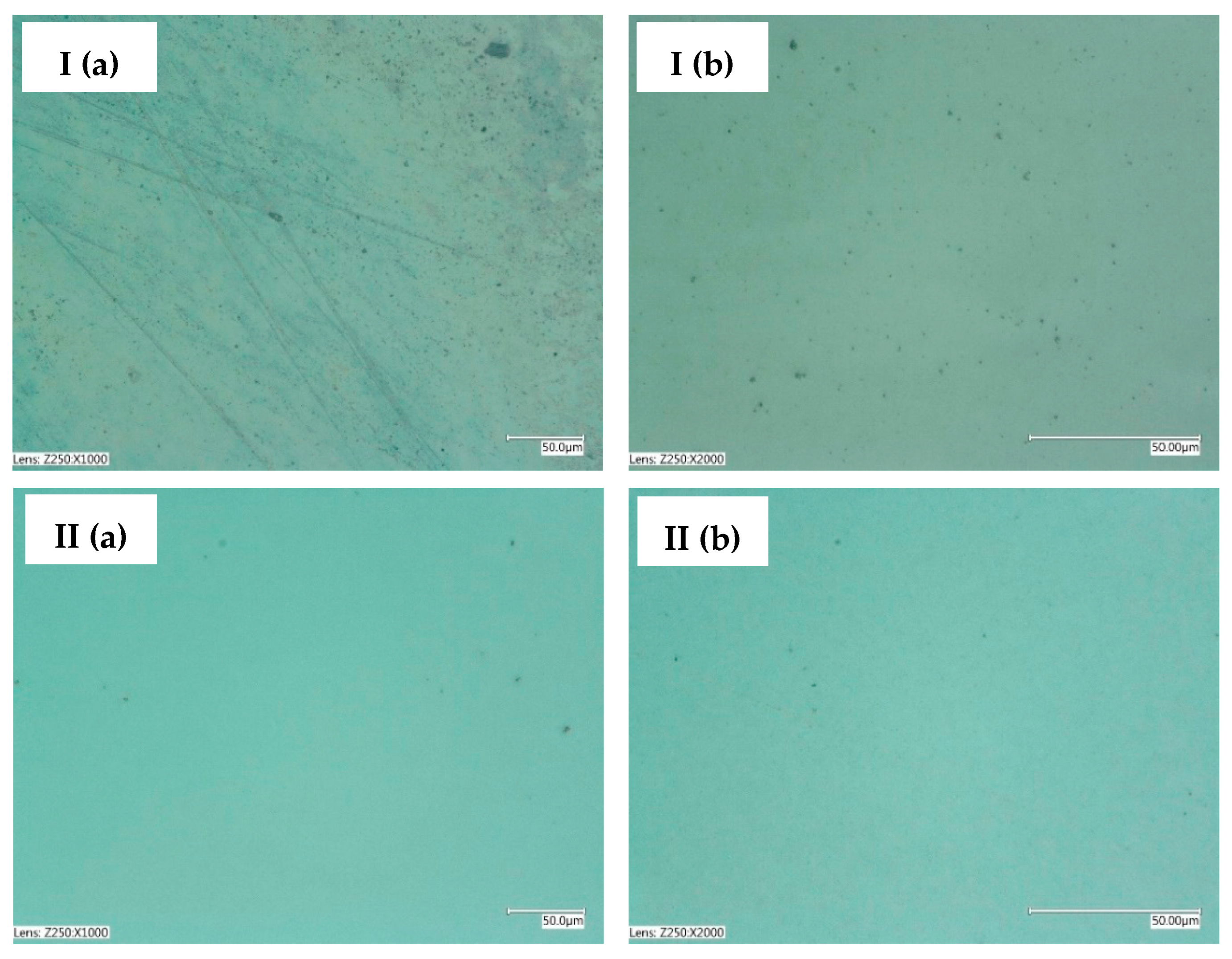Membranes 13 00325 g005