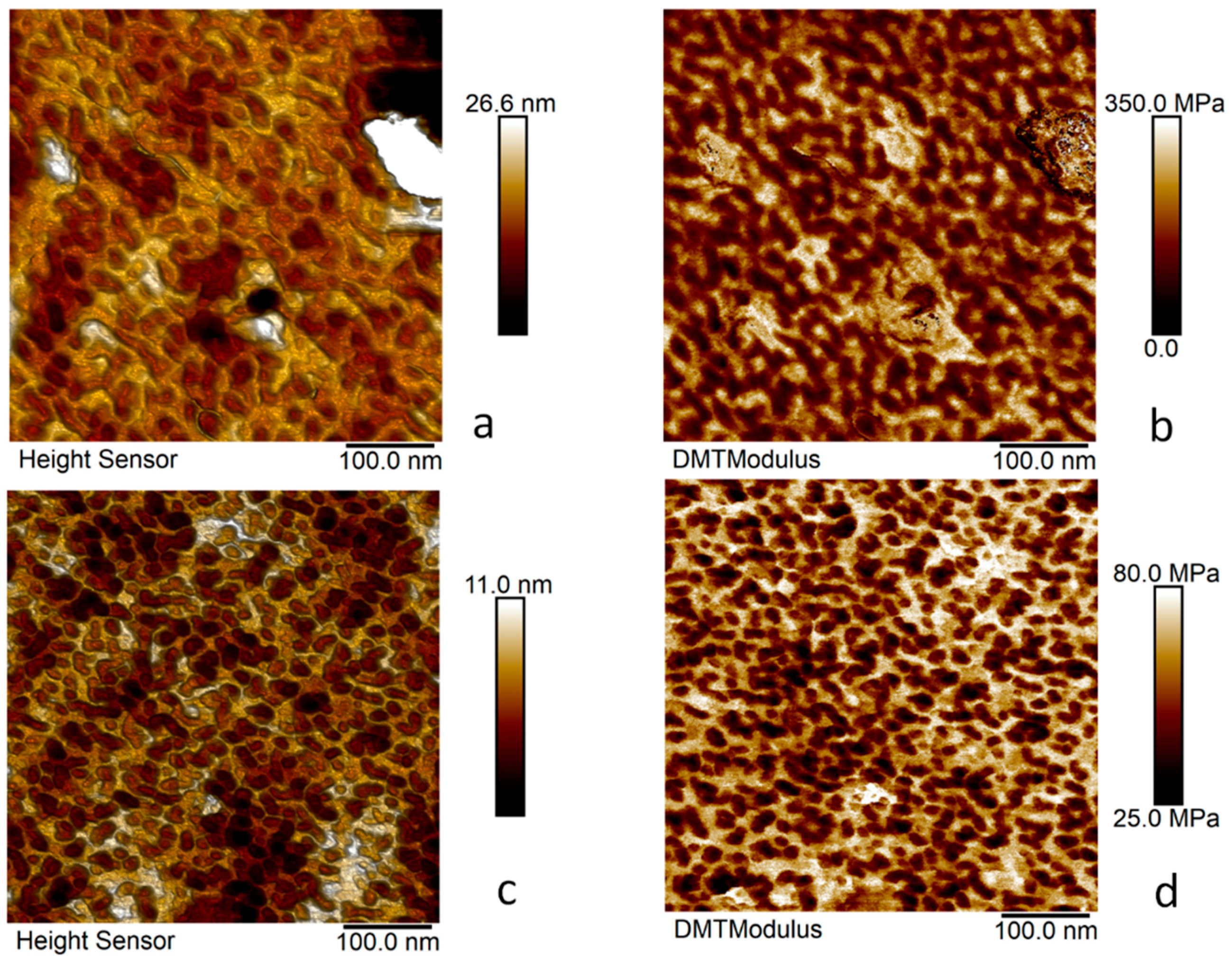 Membranes 13 00328 g004