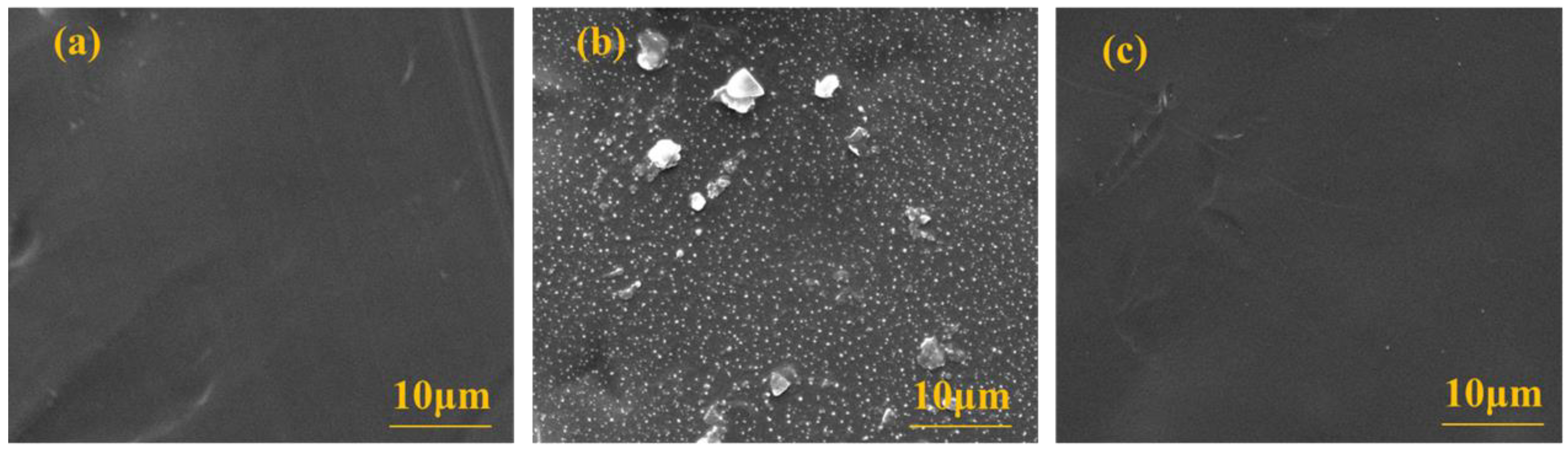 Membranes 13 00330 g006 Membranes 13 00330 g006