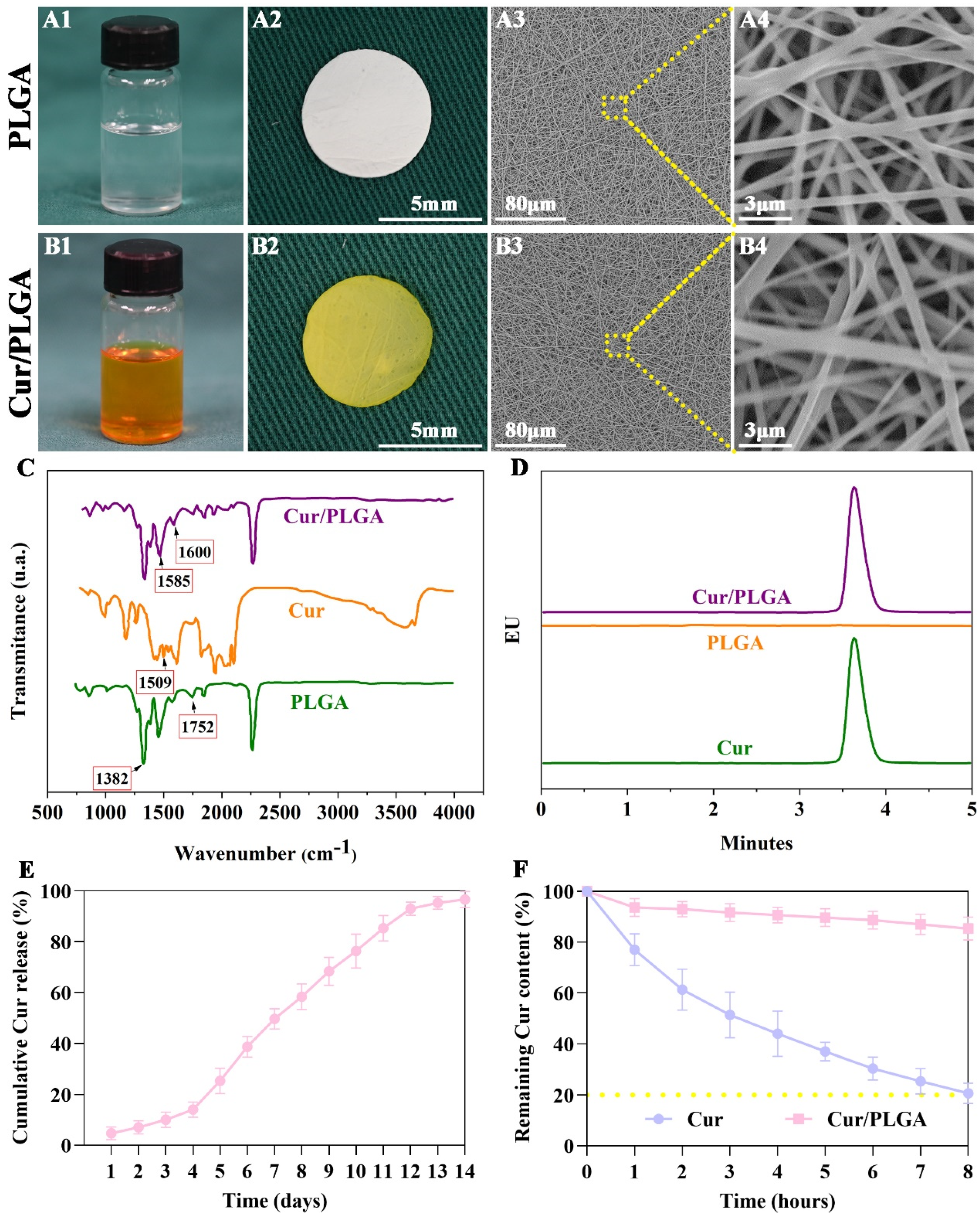 Membranes 13 00335 g001