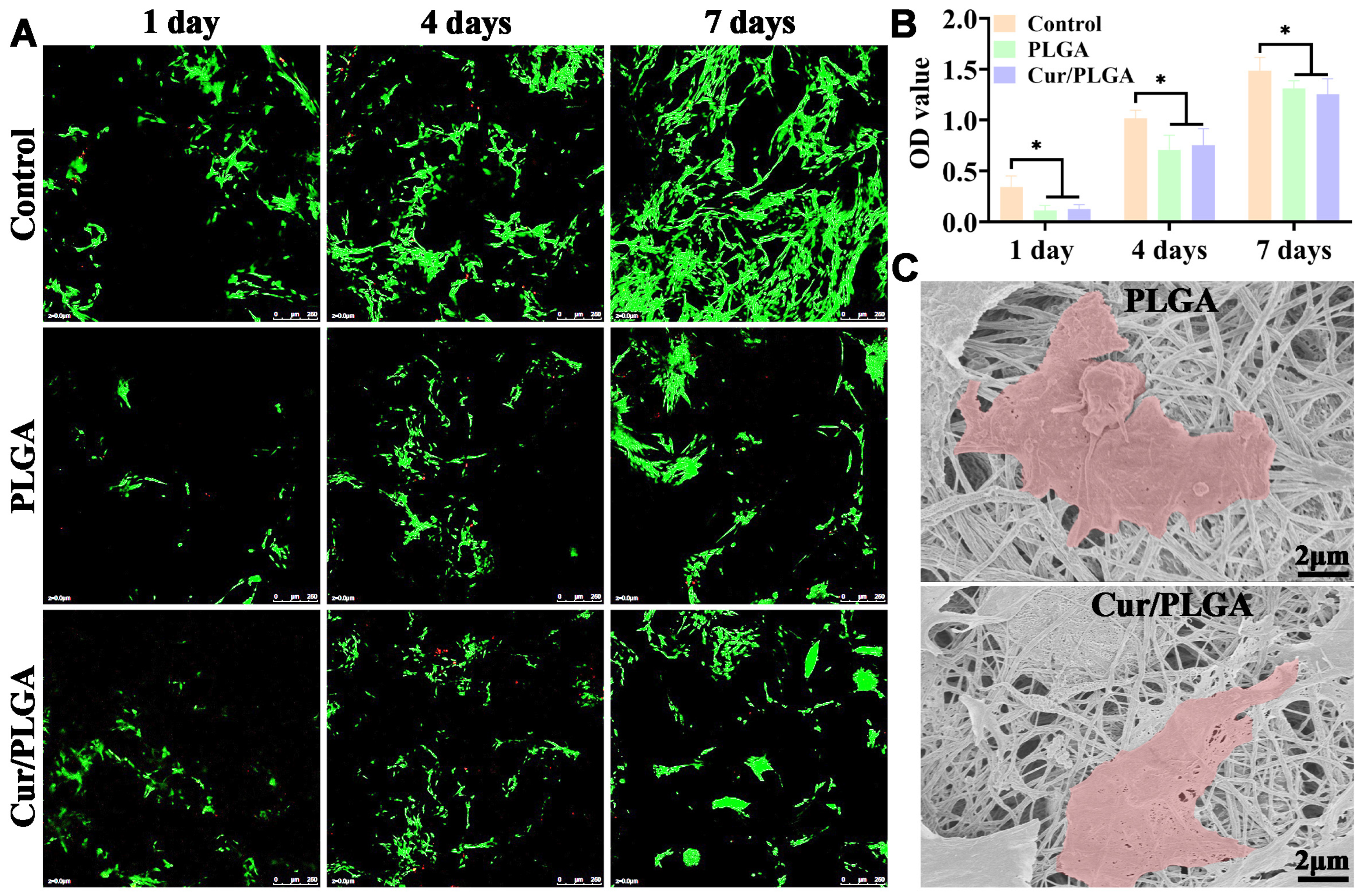 Membranes 13 00335 g002