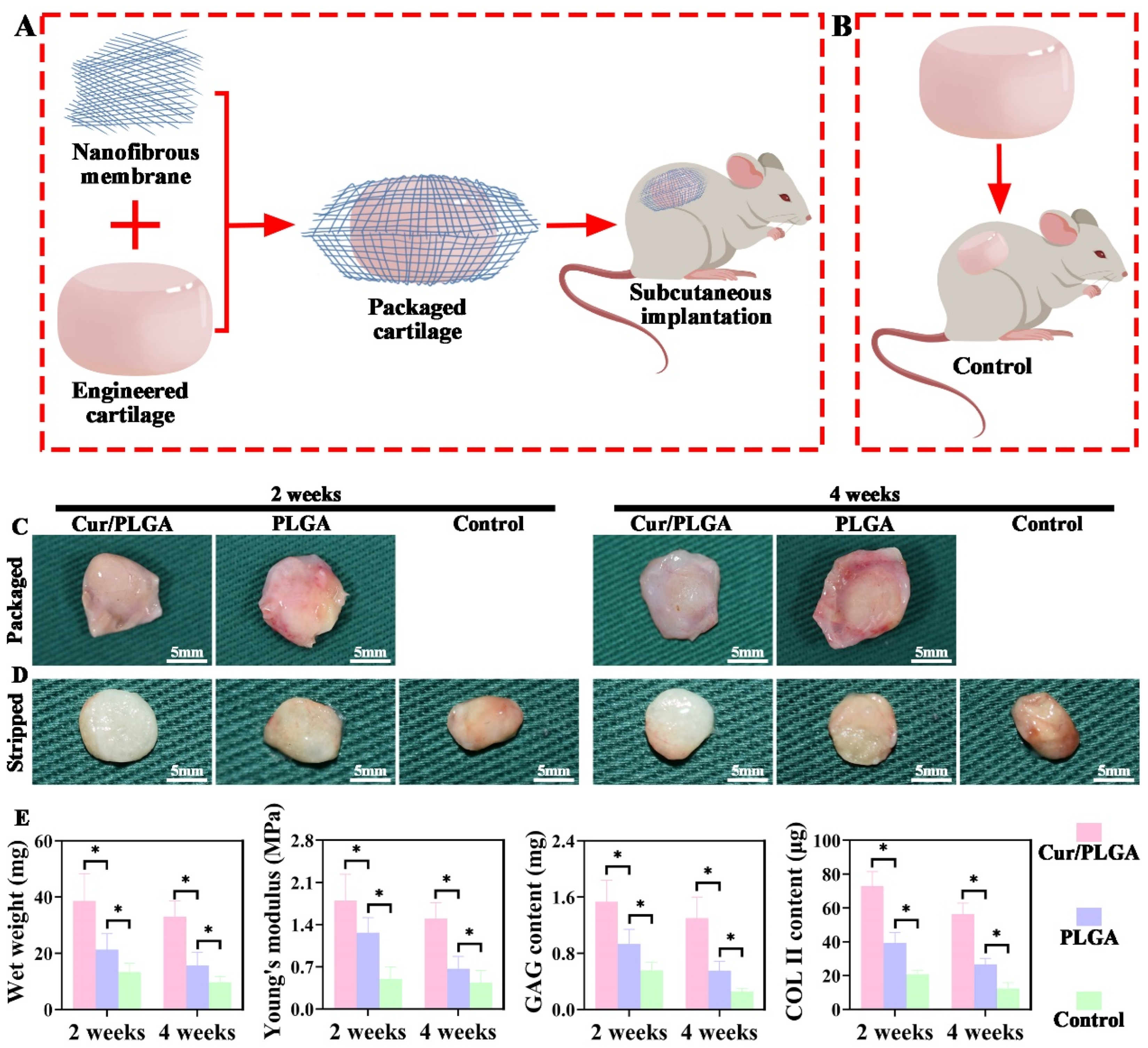 Membranes 13 00335 g005