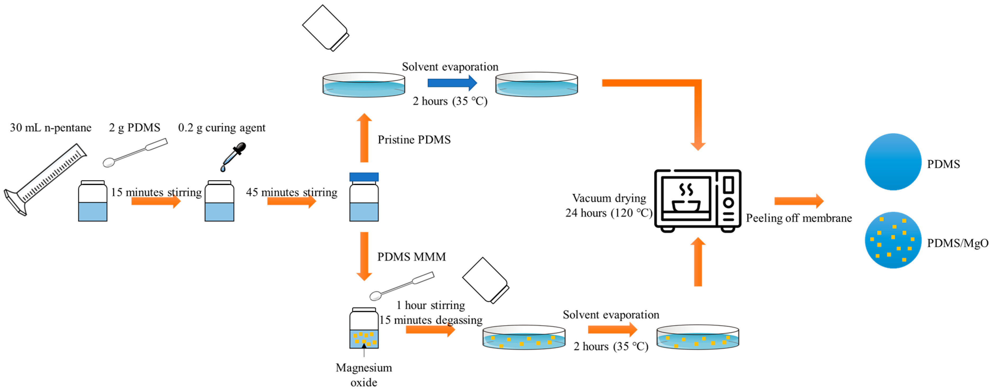 Membranes 13 00337 g001