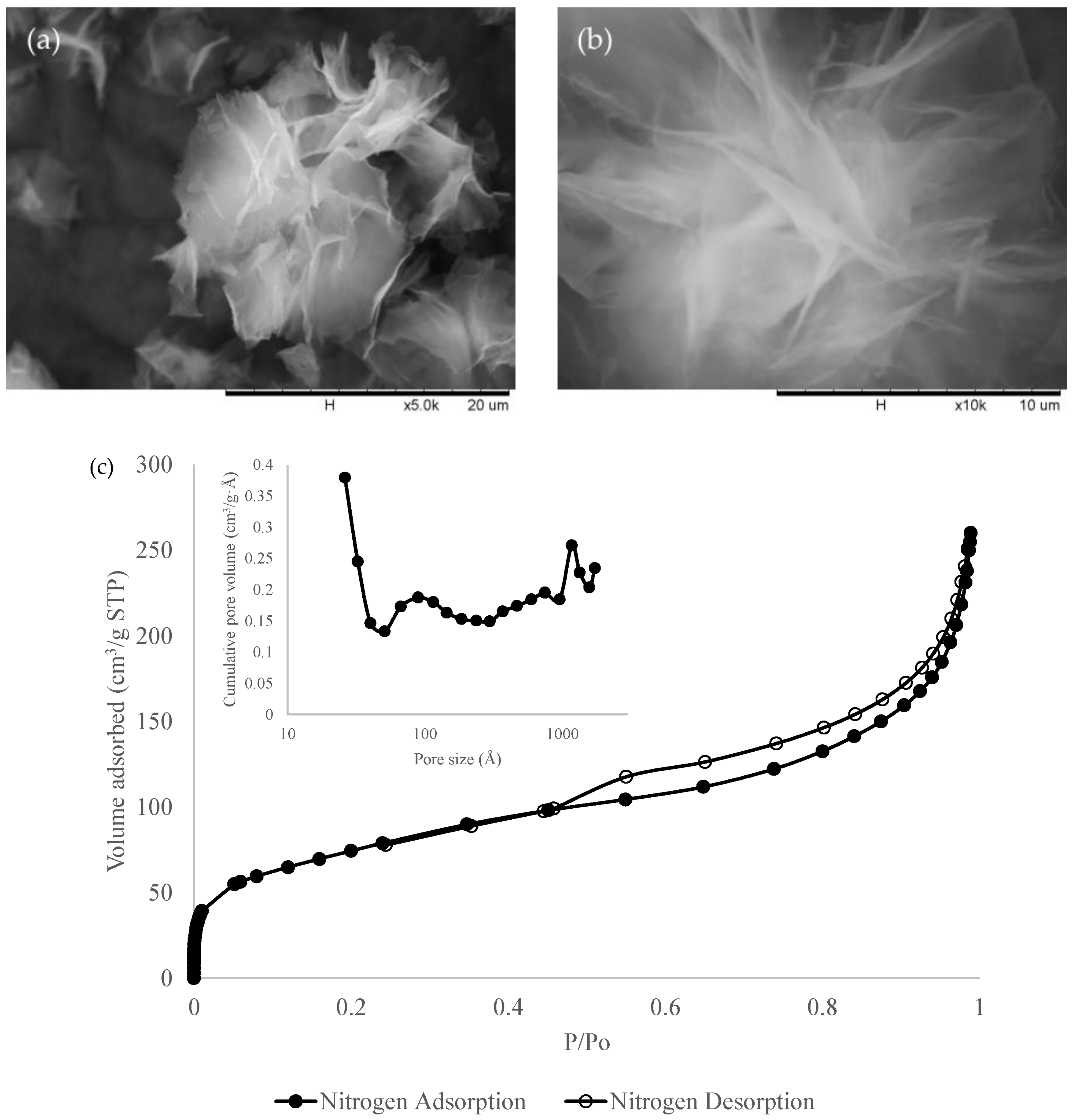 Membranes 13 00337 g002