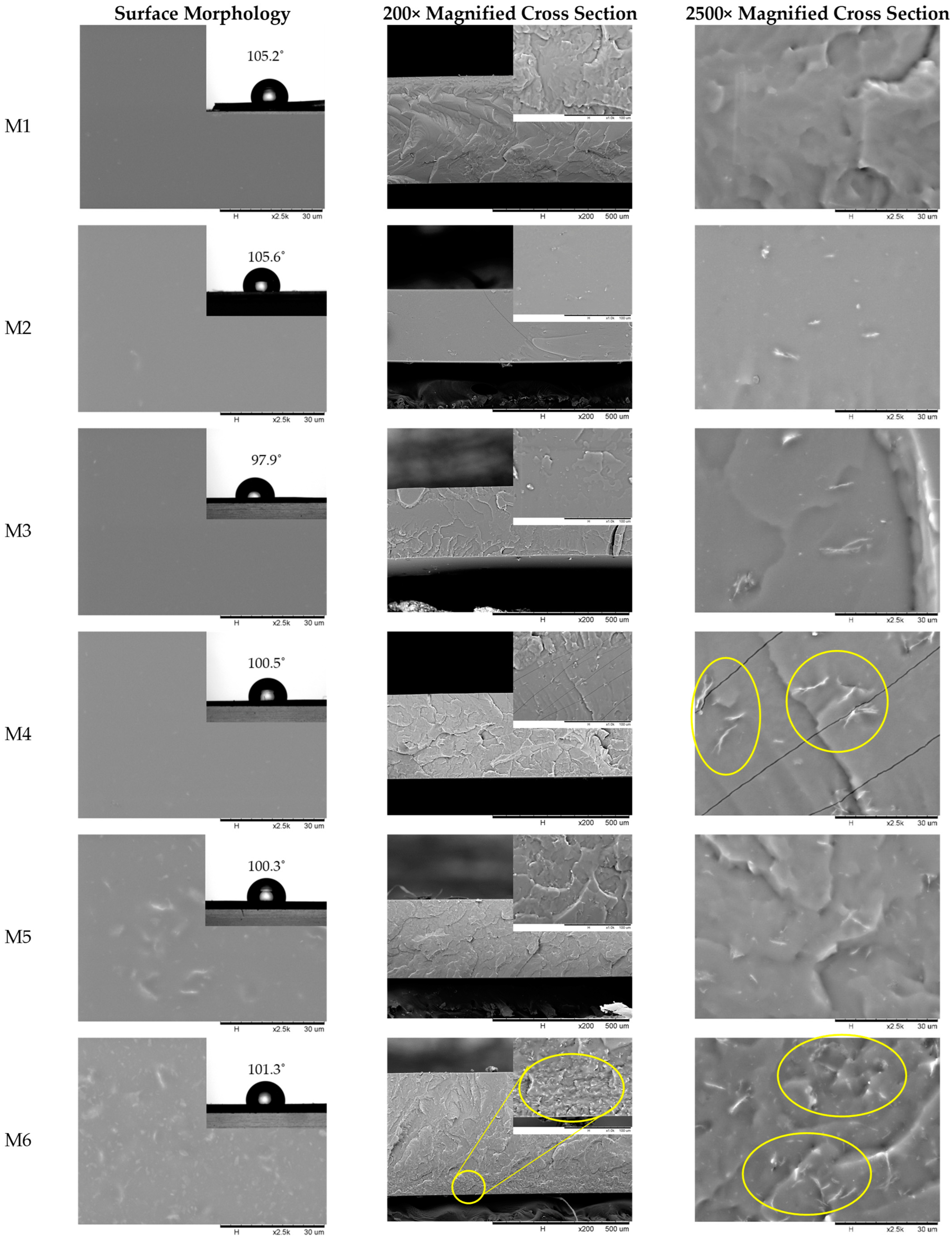 Membranes 13 00337 g003