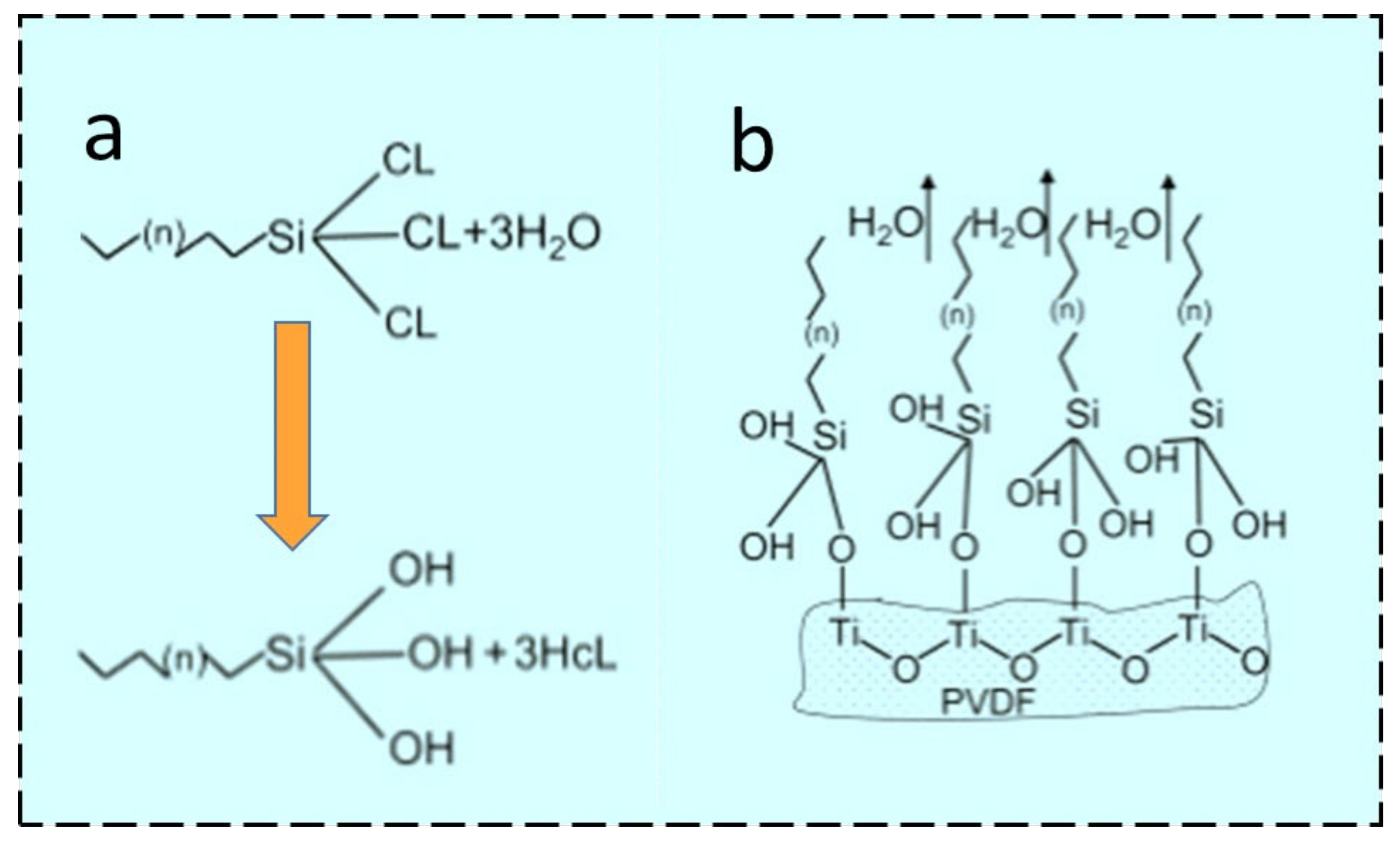 Membranes 13 00338 g004