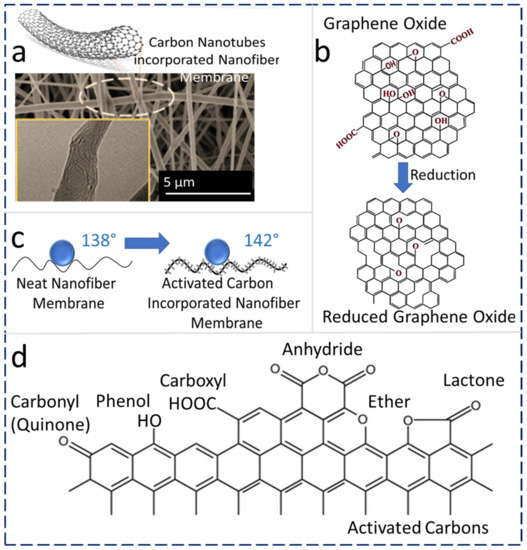 Membranes 13 00338 g005