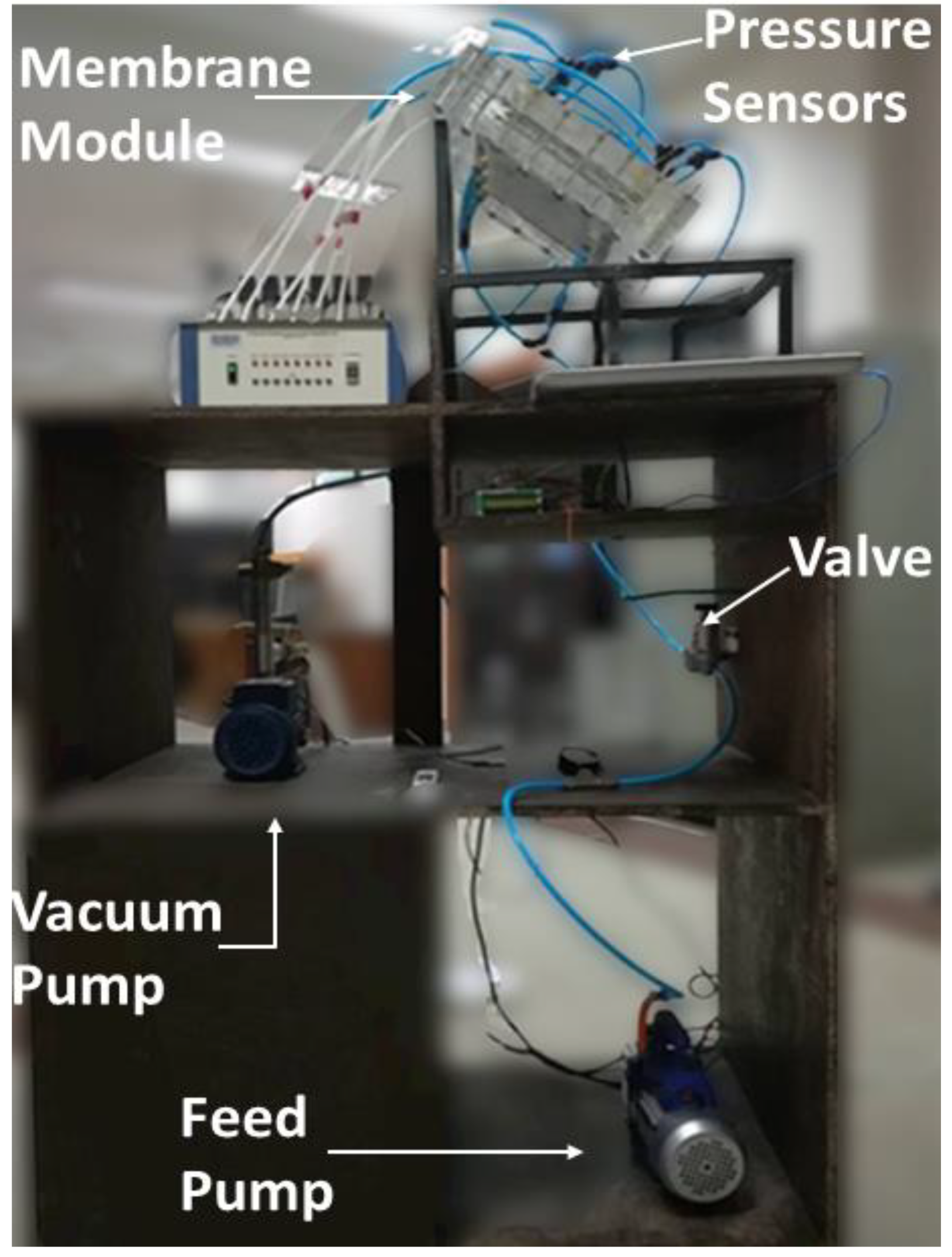 Membranes 13 00339 g004