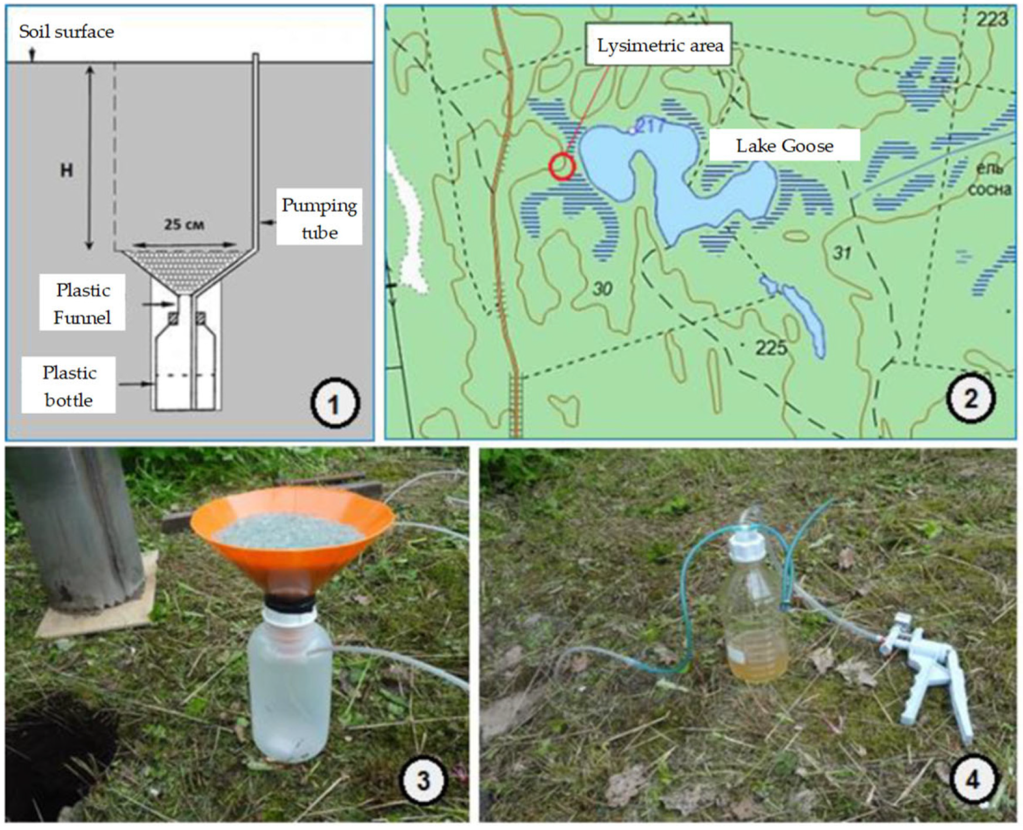 Membranes 13 00340 g002