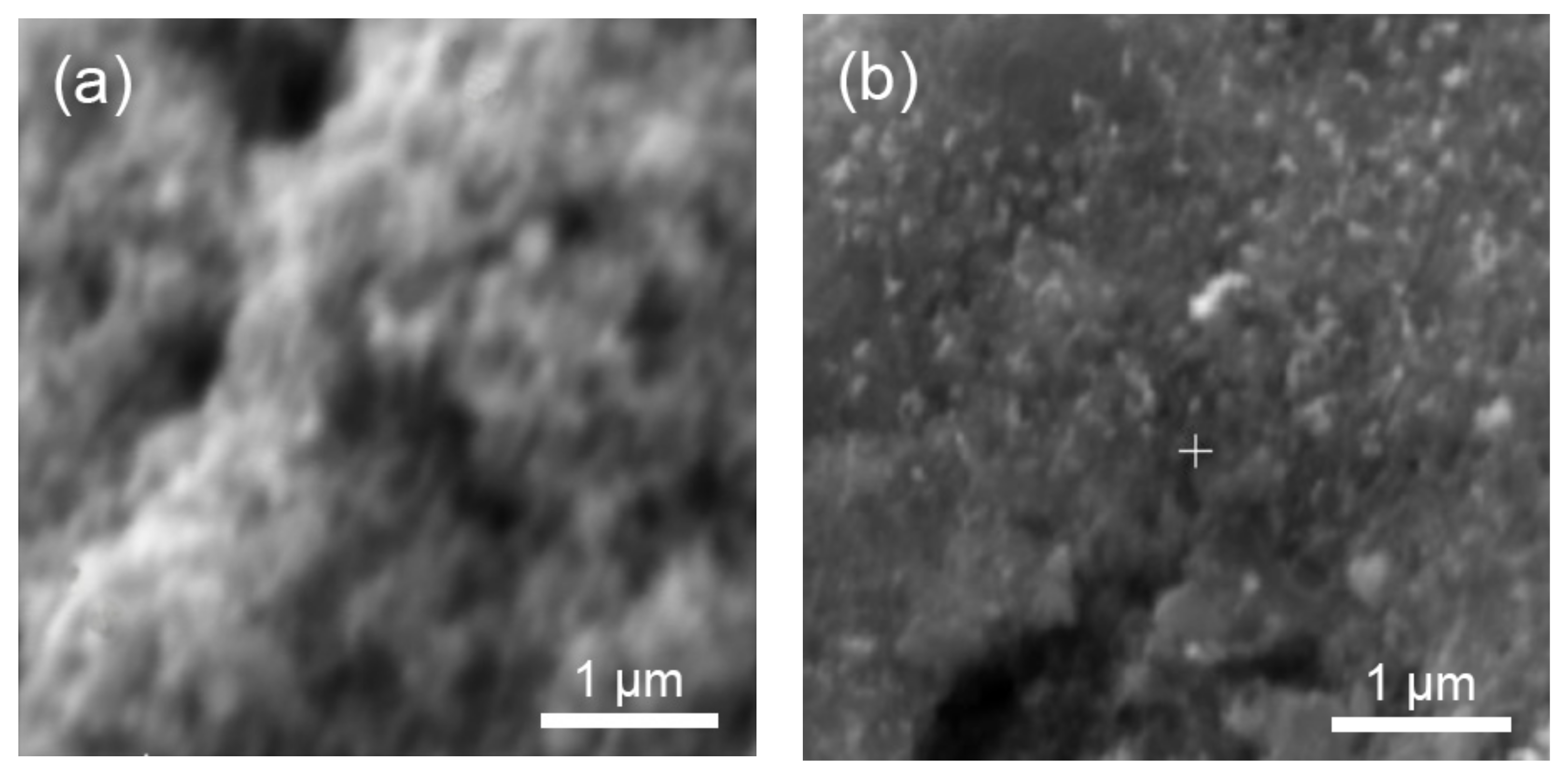 Membranes 13 00342 g009a