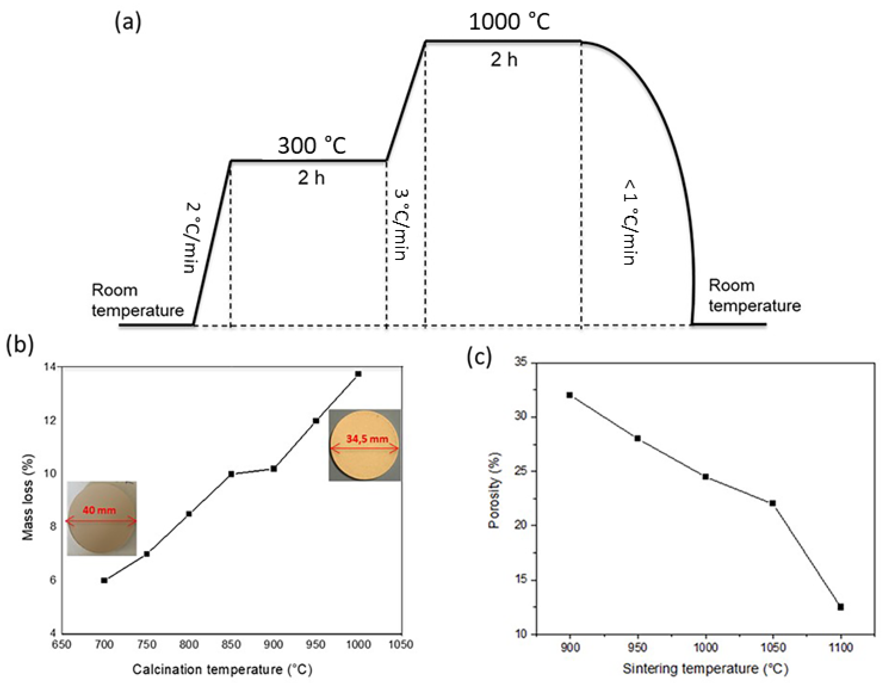 Membranes 13 00345 g001