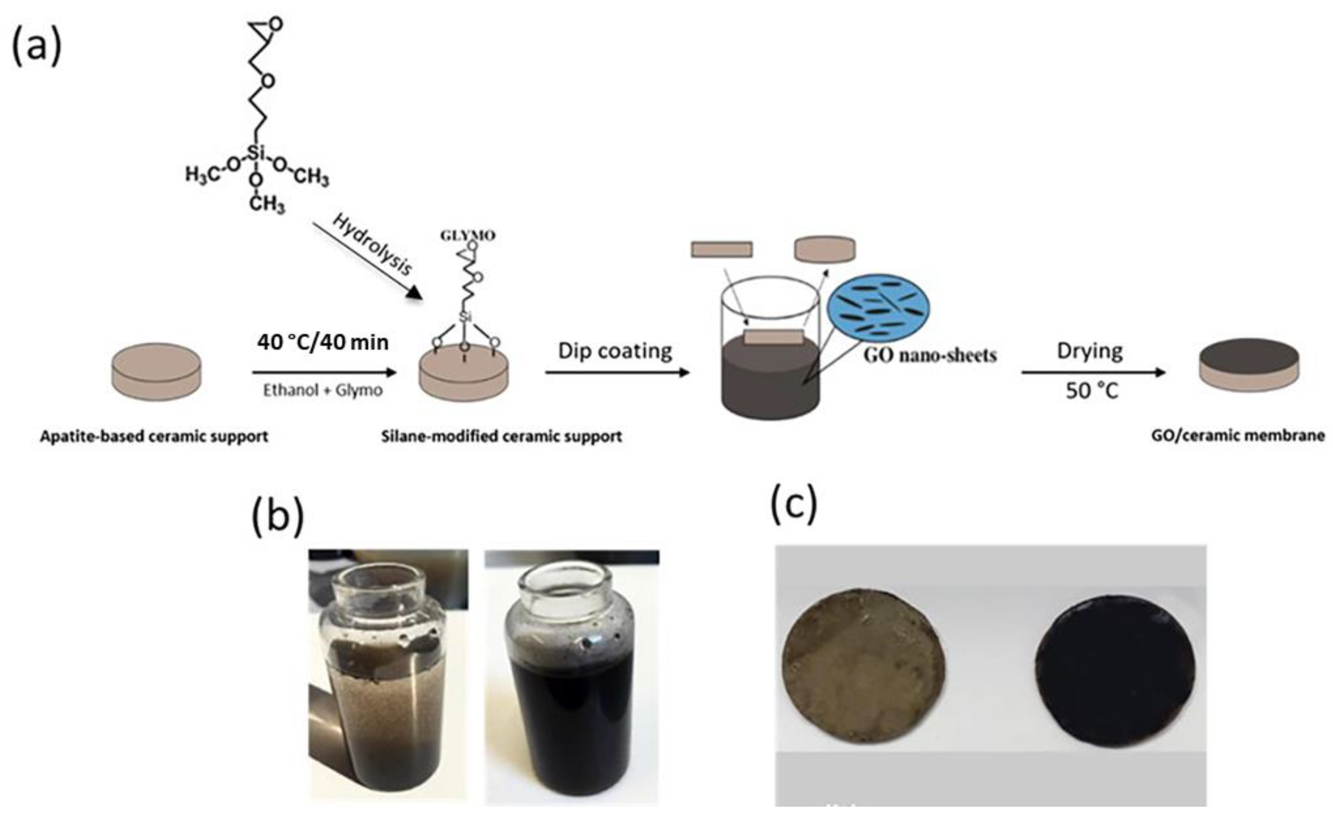 Membranes 13 00345 g002