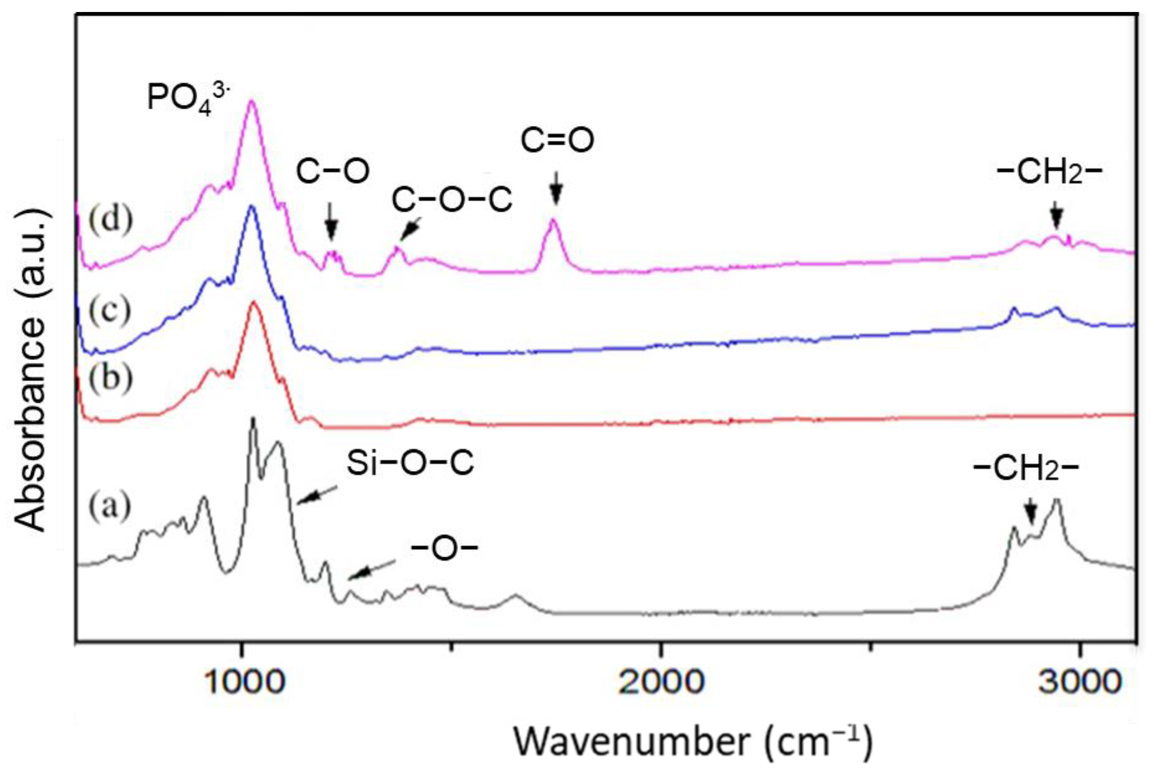 Membranes 13 00345 g007