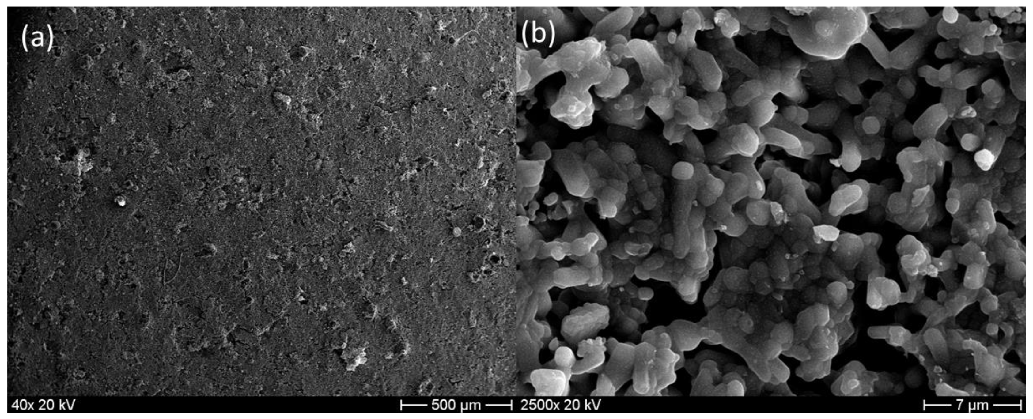 Membranes 13 00345 g008