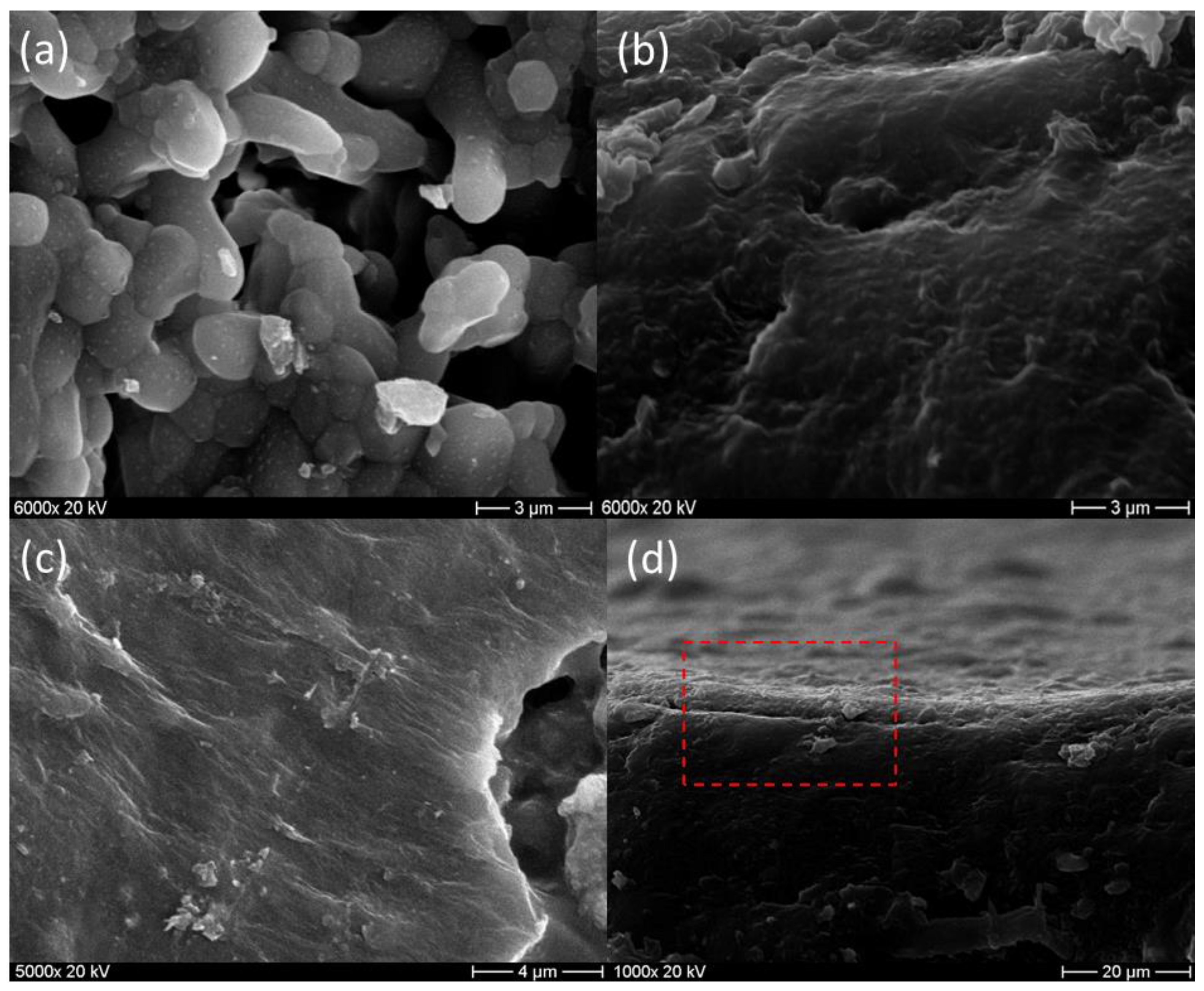 Membranes 13 00345 g009