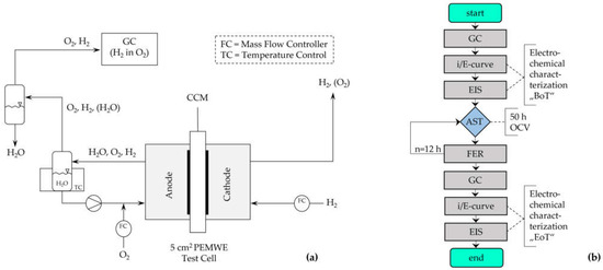 Membranes 13 00348 g002